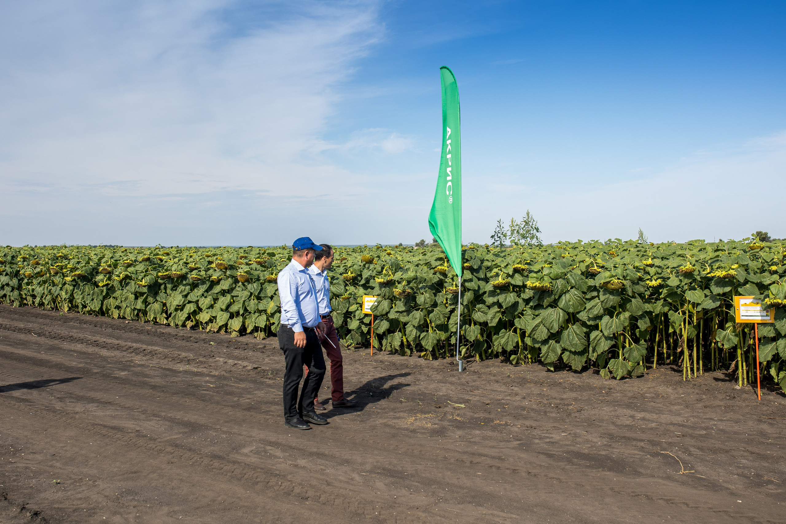 Решения для сельского хозяйства BASF 16.08.2022. Владислав Волков | Фотография и видеосъемка в Воронеже