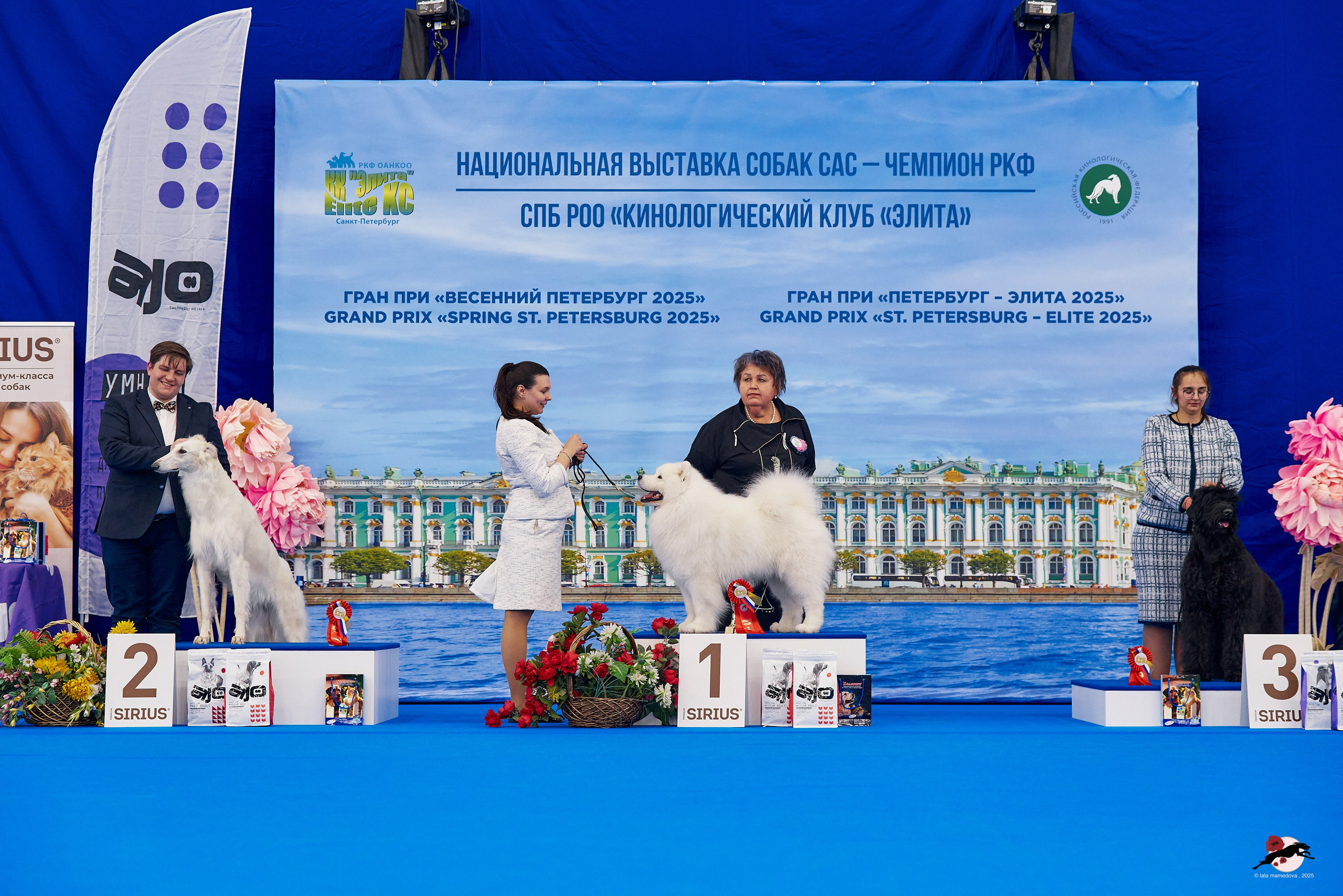 27.04.2025 | "Петербург-Элита 2025" & «КУБОК «ЭЛИТЫ»-2025»