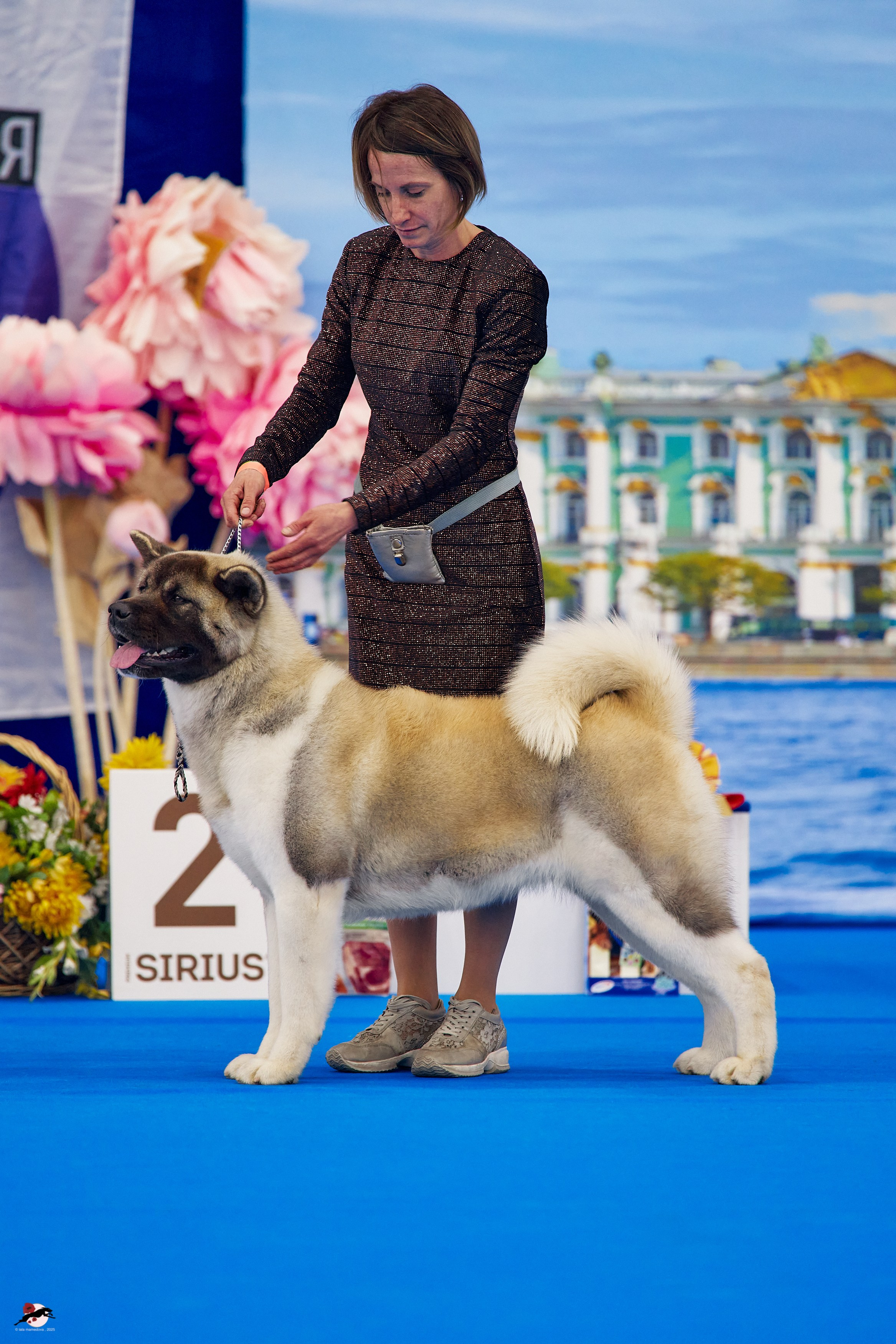 27.04.2025 | "Петербург-Элита 2025" & «КУБОК «ЭЛИТЫ»-2025»