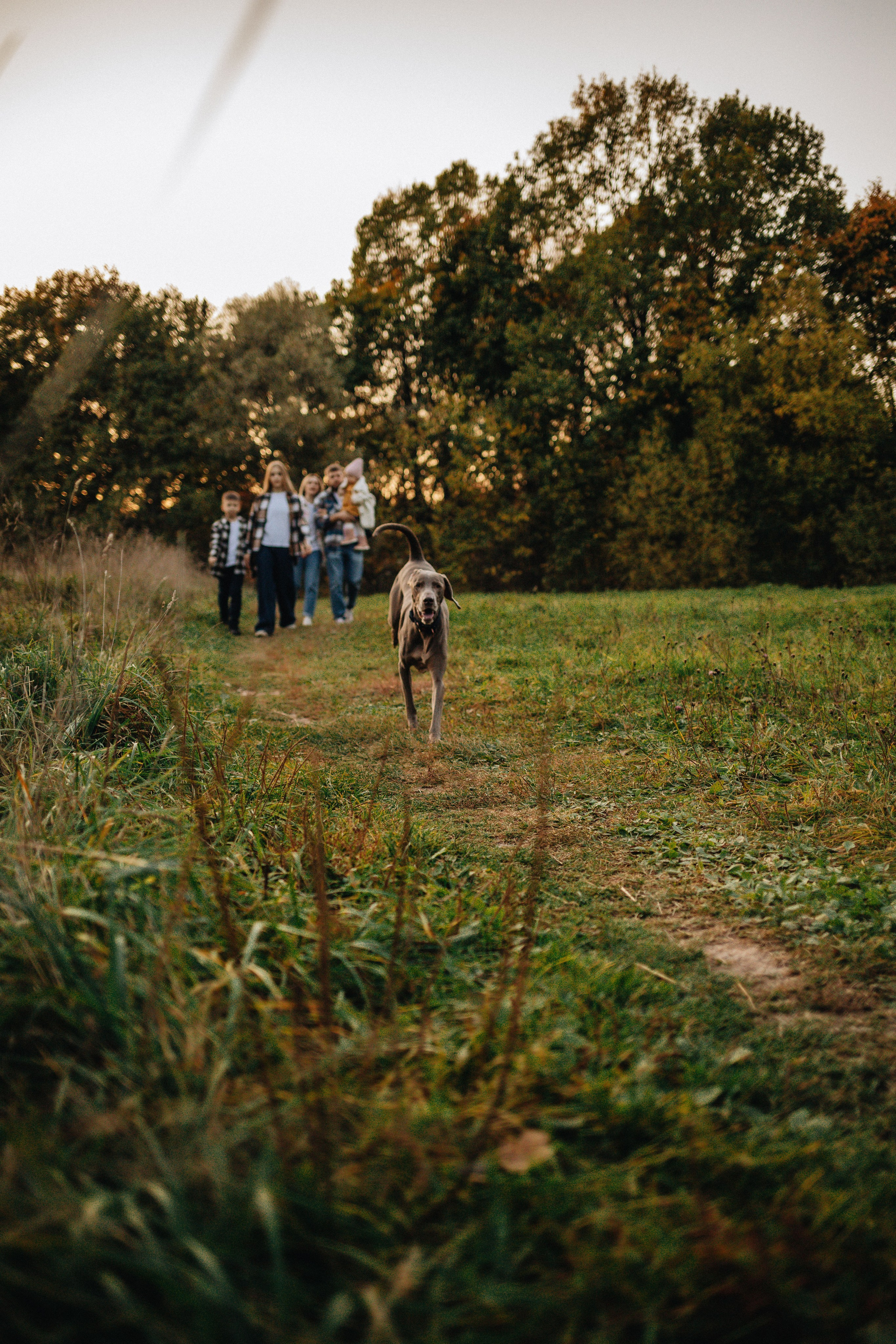 Сергей, Ульяна, Вероника, Денис и Мирослава. Семейный фотограф Юлия Клишина