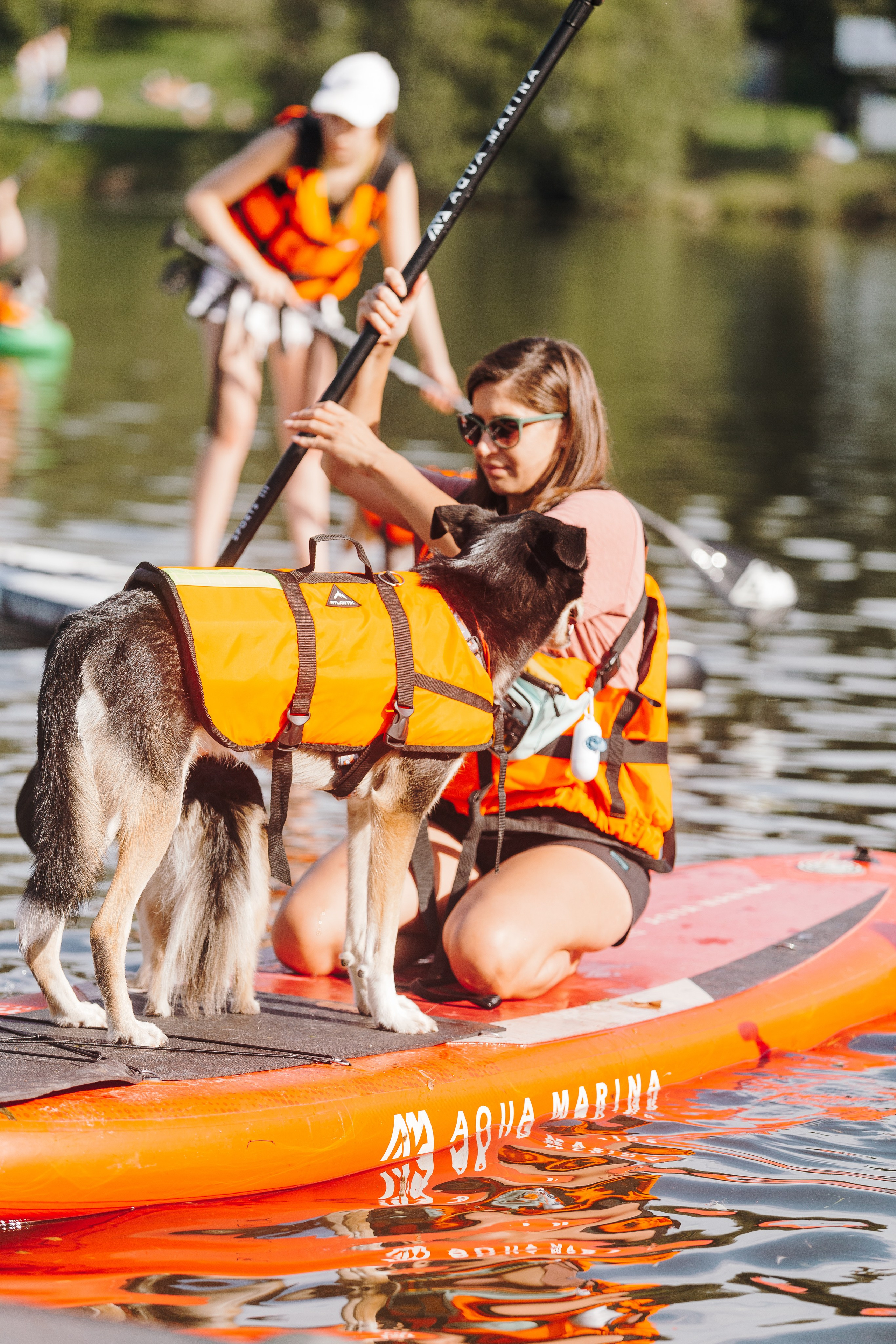 Petshop Sup day. Фотограф анималист Кристина Карпова, Москва