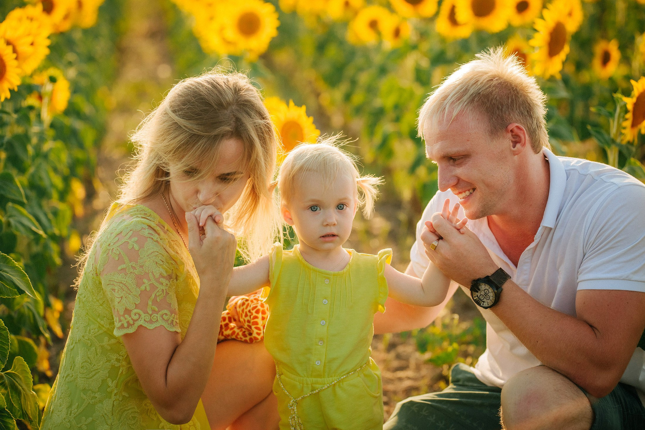 Подсолнухи!. Семейный, детский, свадебный, фотограф в городе Анапа