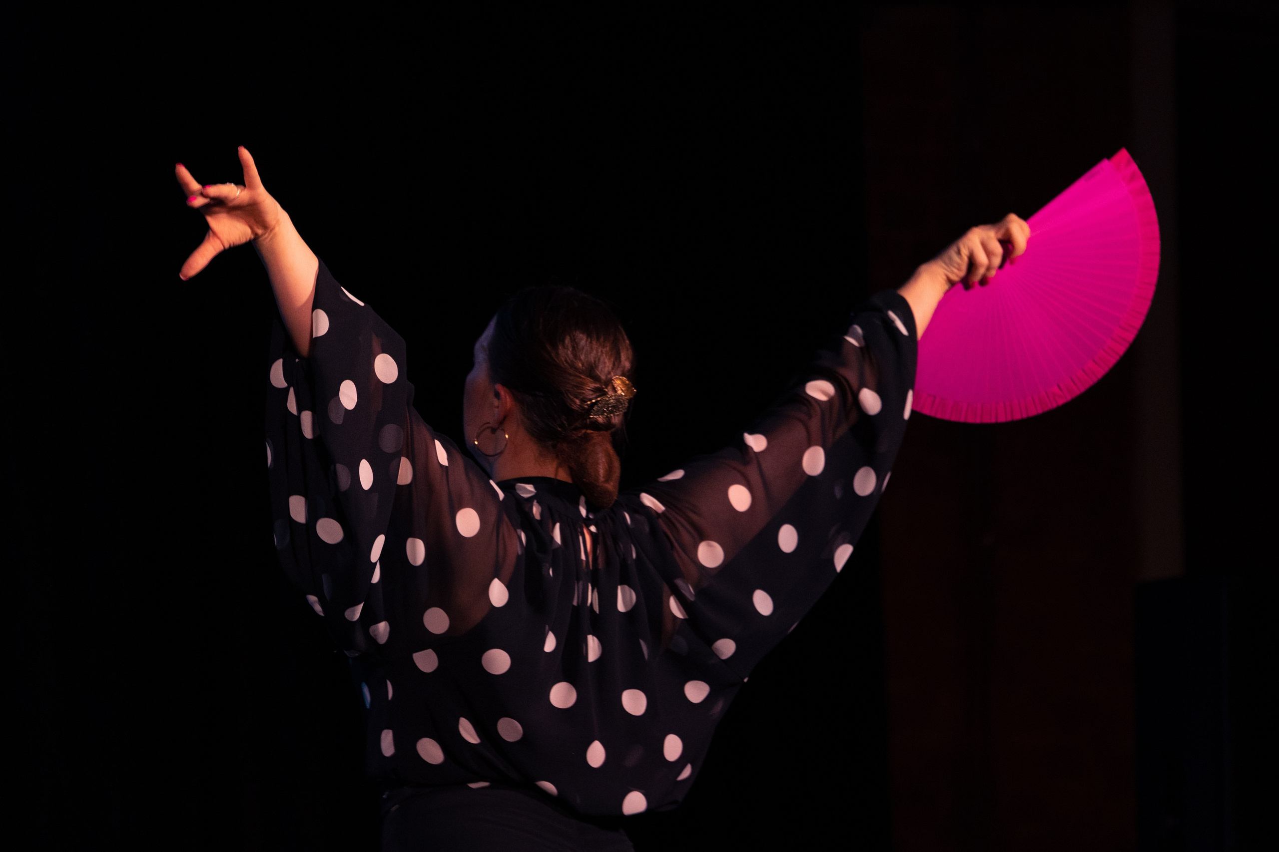 Flamenco 02.01.2025. Индивидуальные съемки, портретный фотограф