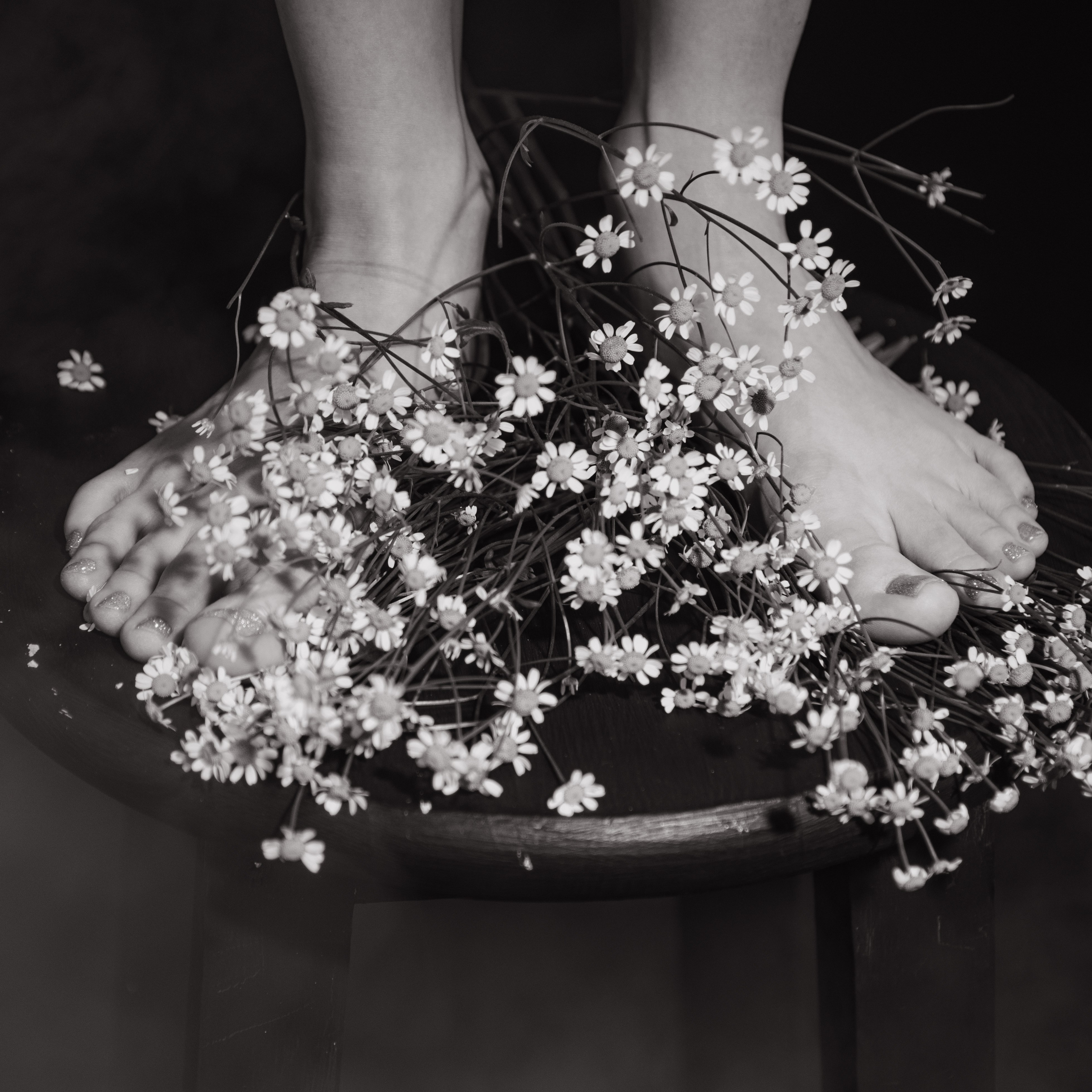 Портфолио. Фотограф в Пскове и Санкт-Петербурге Татьяна Рейнелл