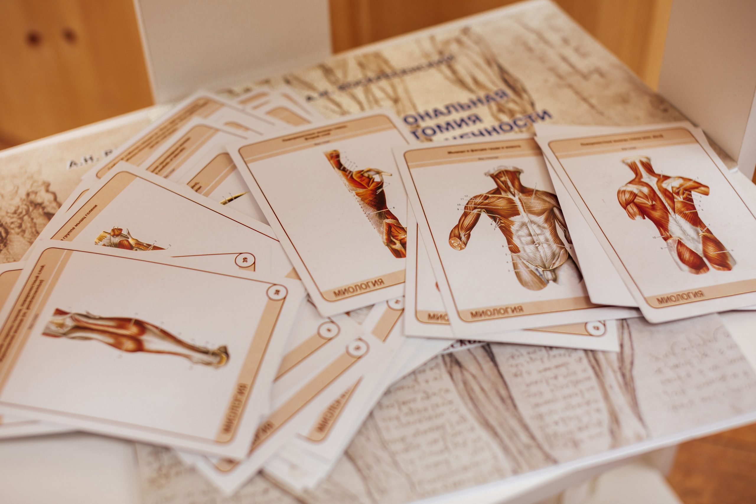 Массаж. Https://malovafoto.ru