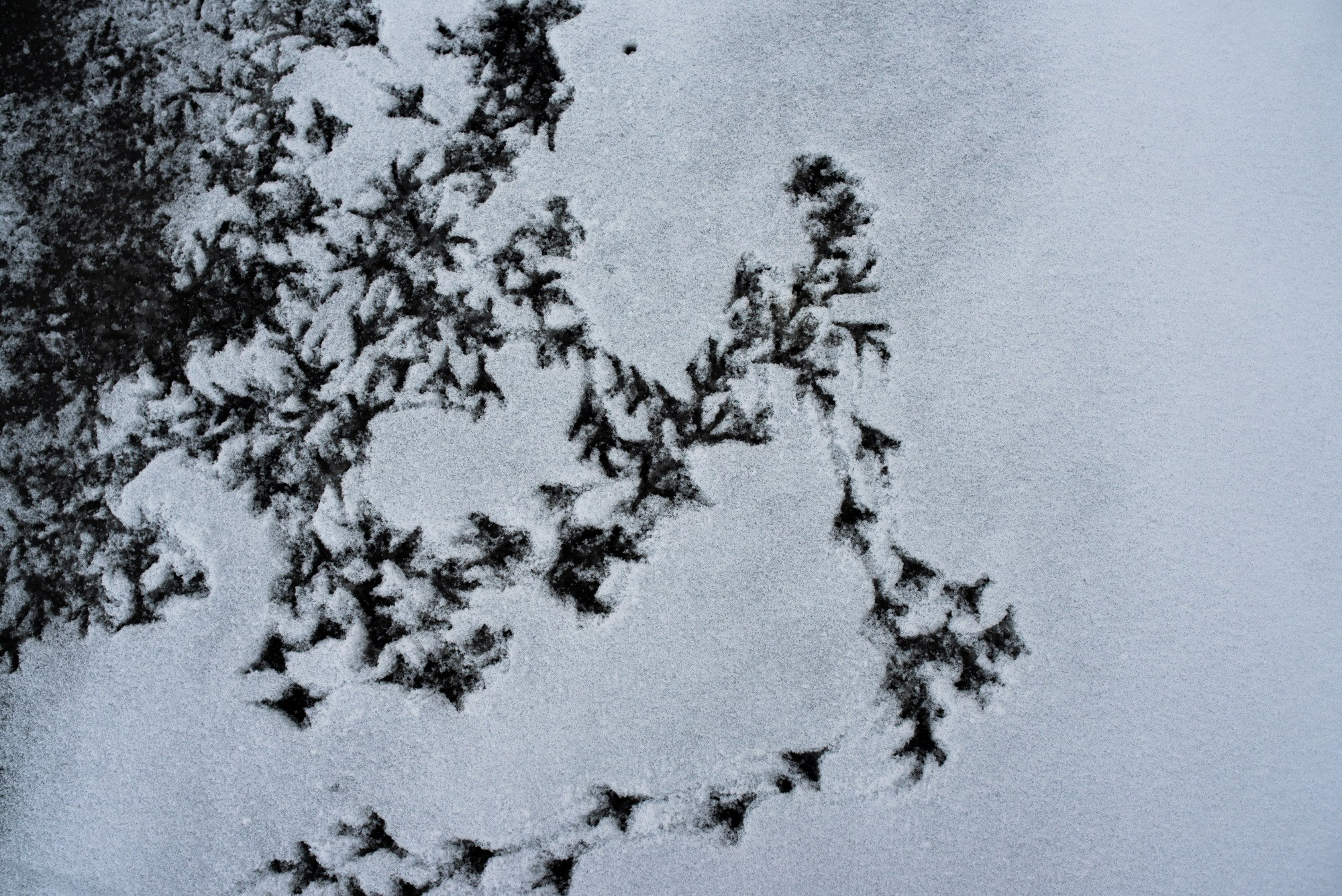 Синдром предков. Наталия Шульгина — визуальный художник, фотограф