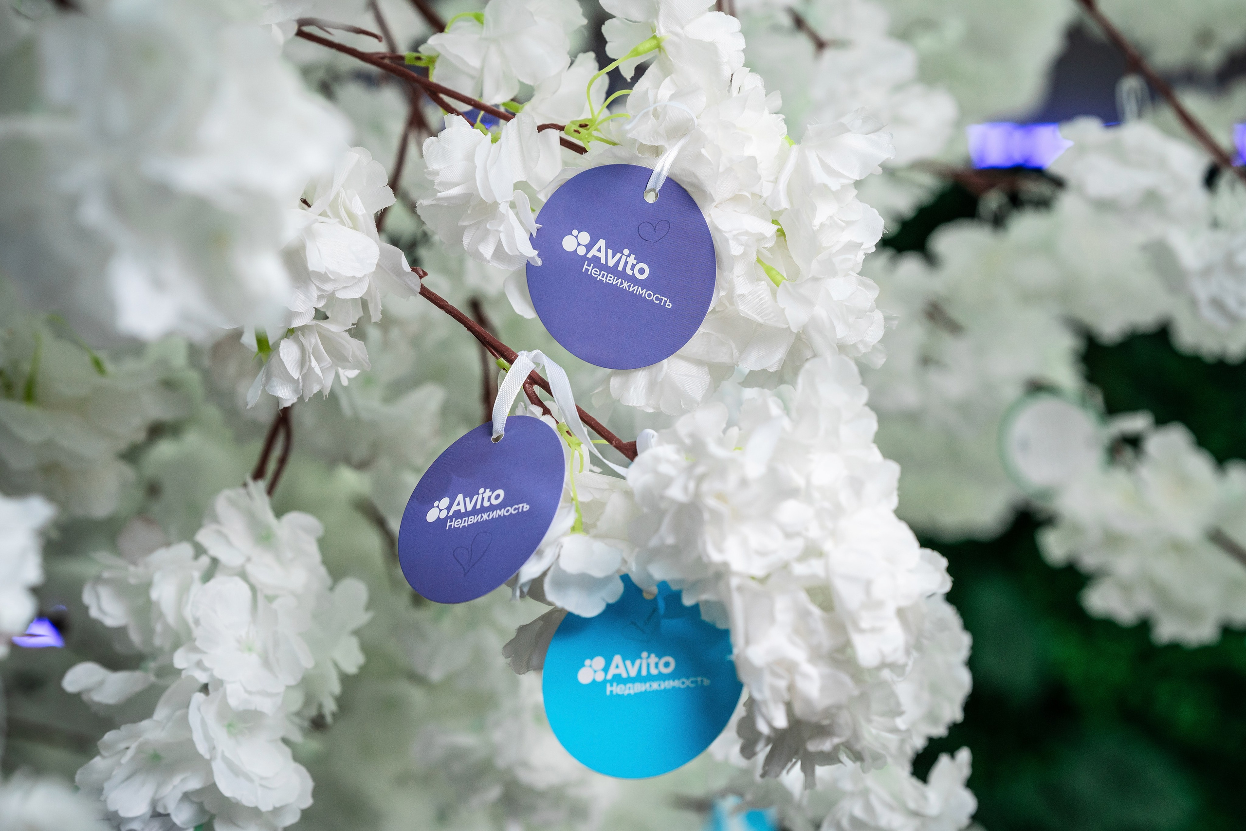 Форум Движение фотоотчет. Фотограф Сочи