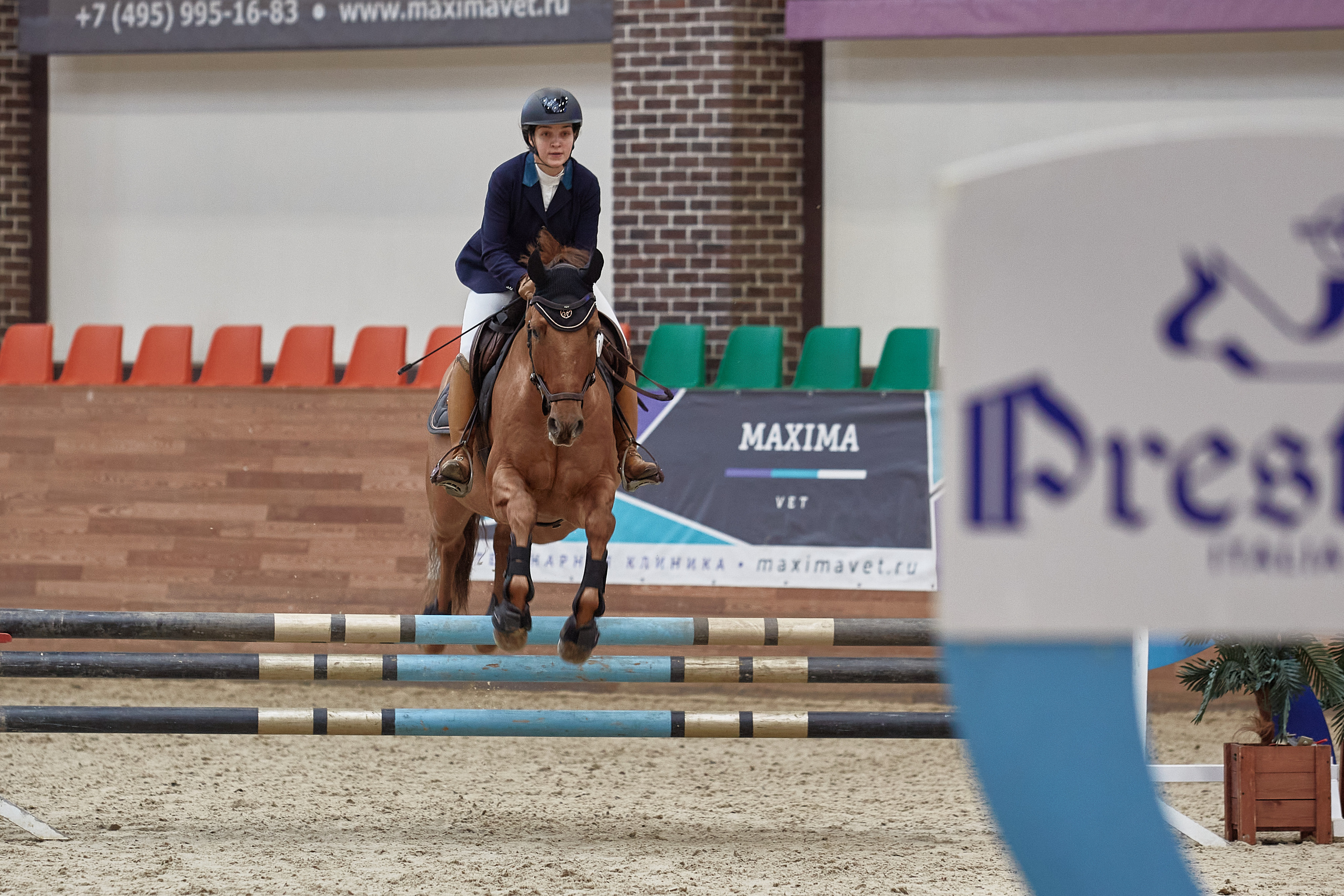 Соревнования по конкуру в конном клубе Maxima Park. Репортажный и семейный фотограф Ухова Наталья в Москве