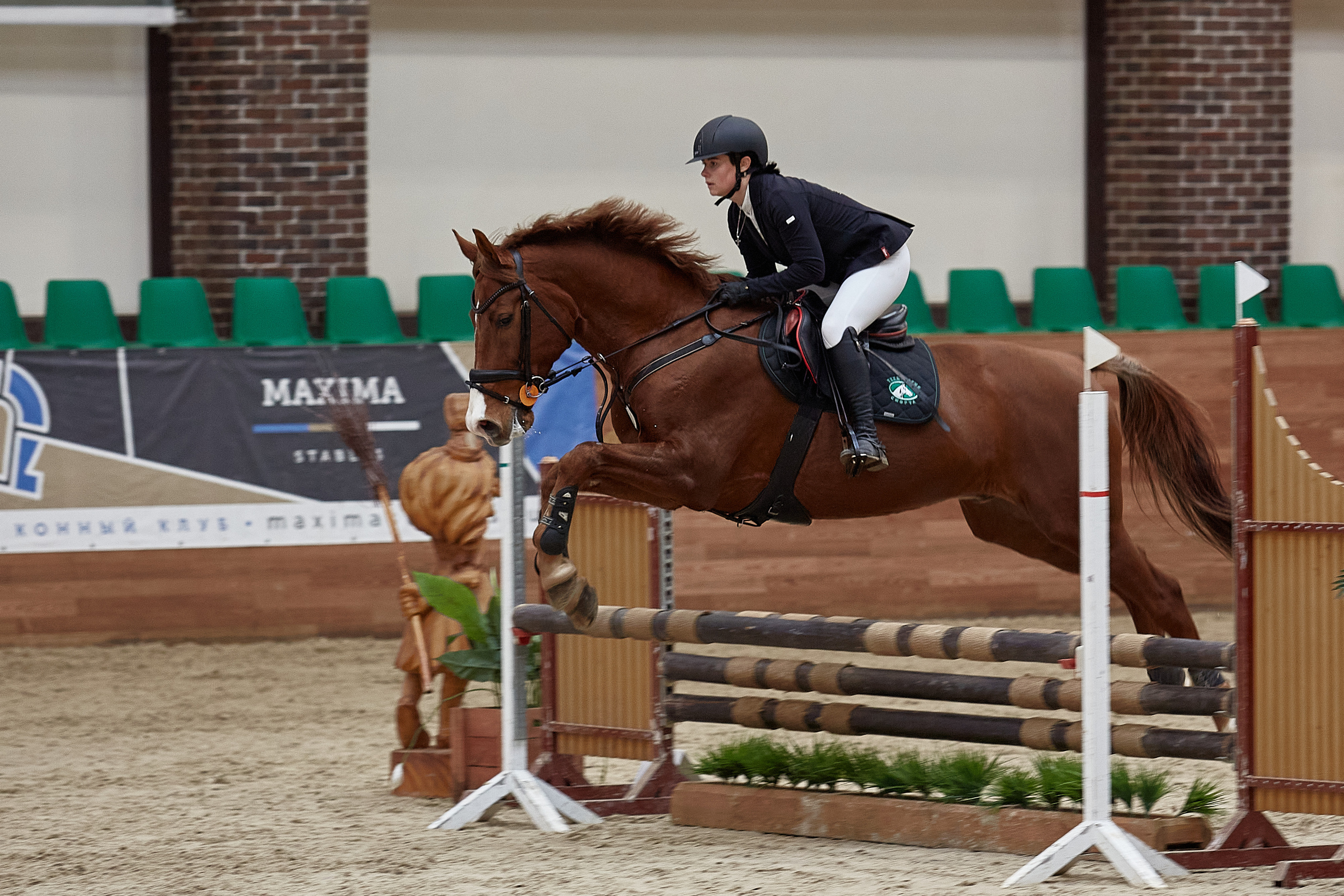 Всадник на лошади