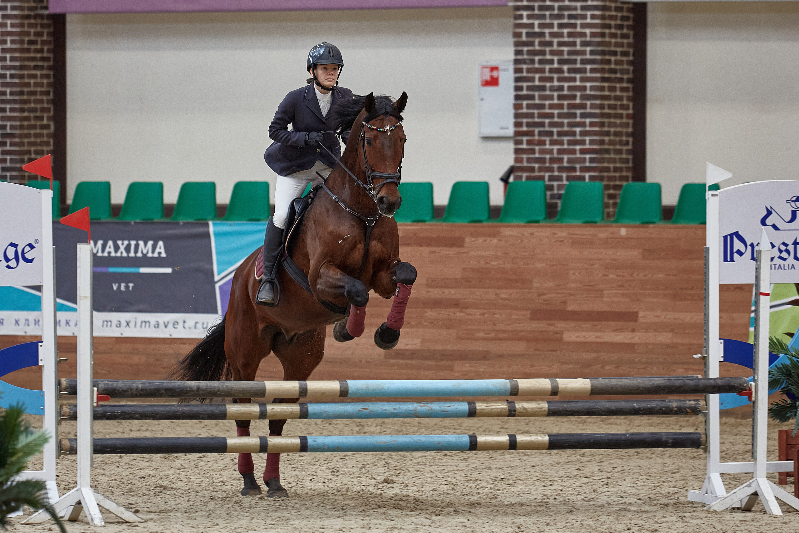 Соревнования по конкуру в конном клубе Maxima Park. Репортажный и семейный фотограф Ухова Наталья в Москве