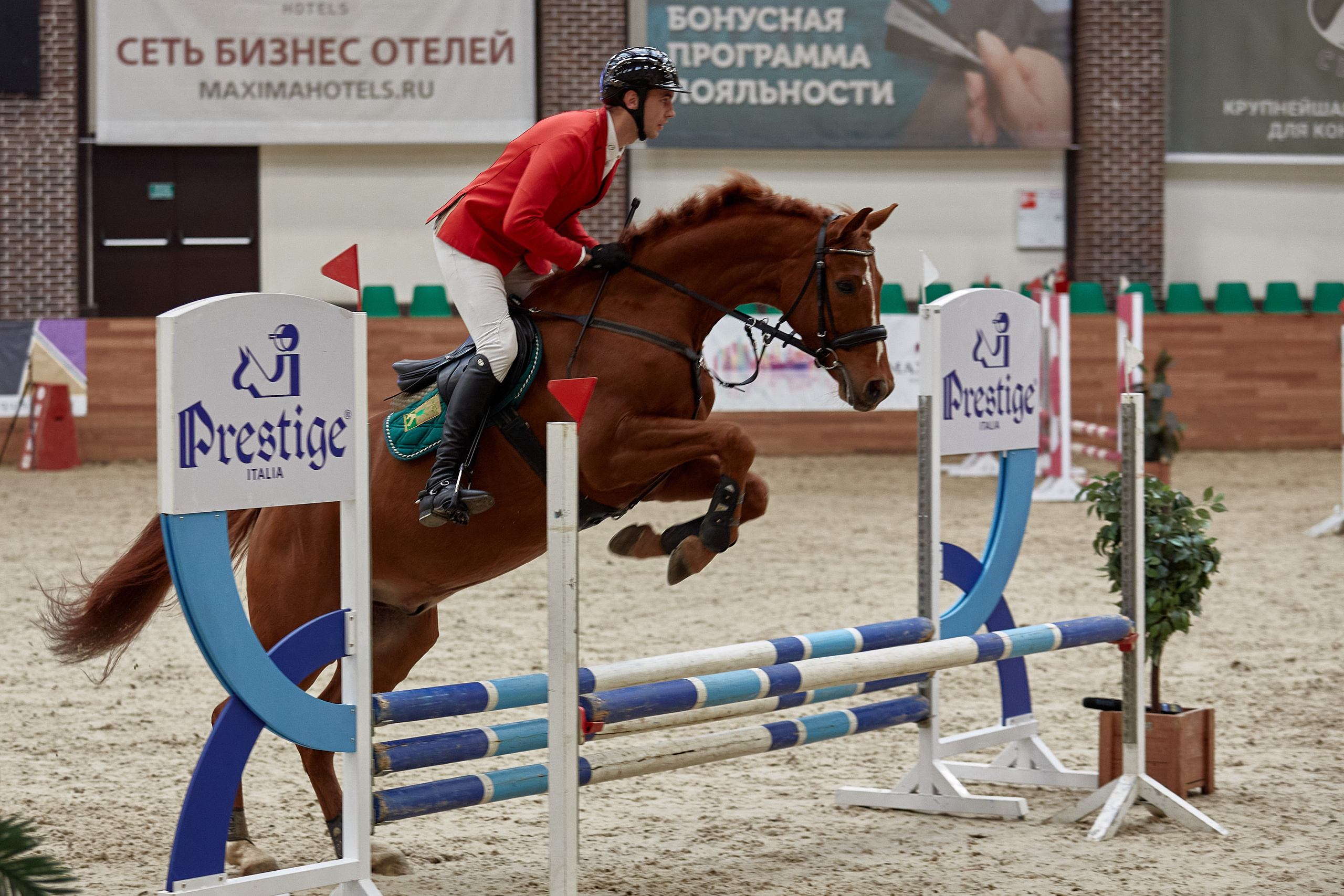 Соревнования по конкуру в конном клубе Maxima Park. Репортажный и семейный фотограф Ухова Наталья в Москве