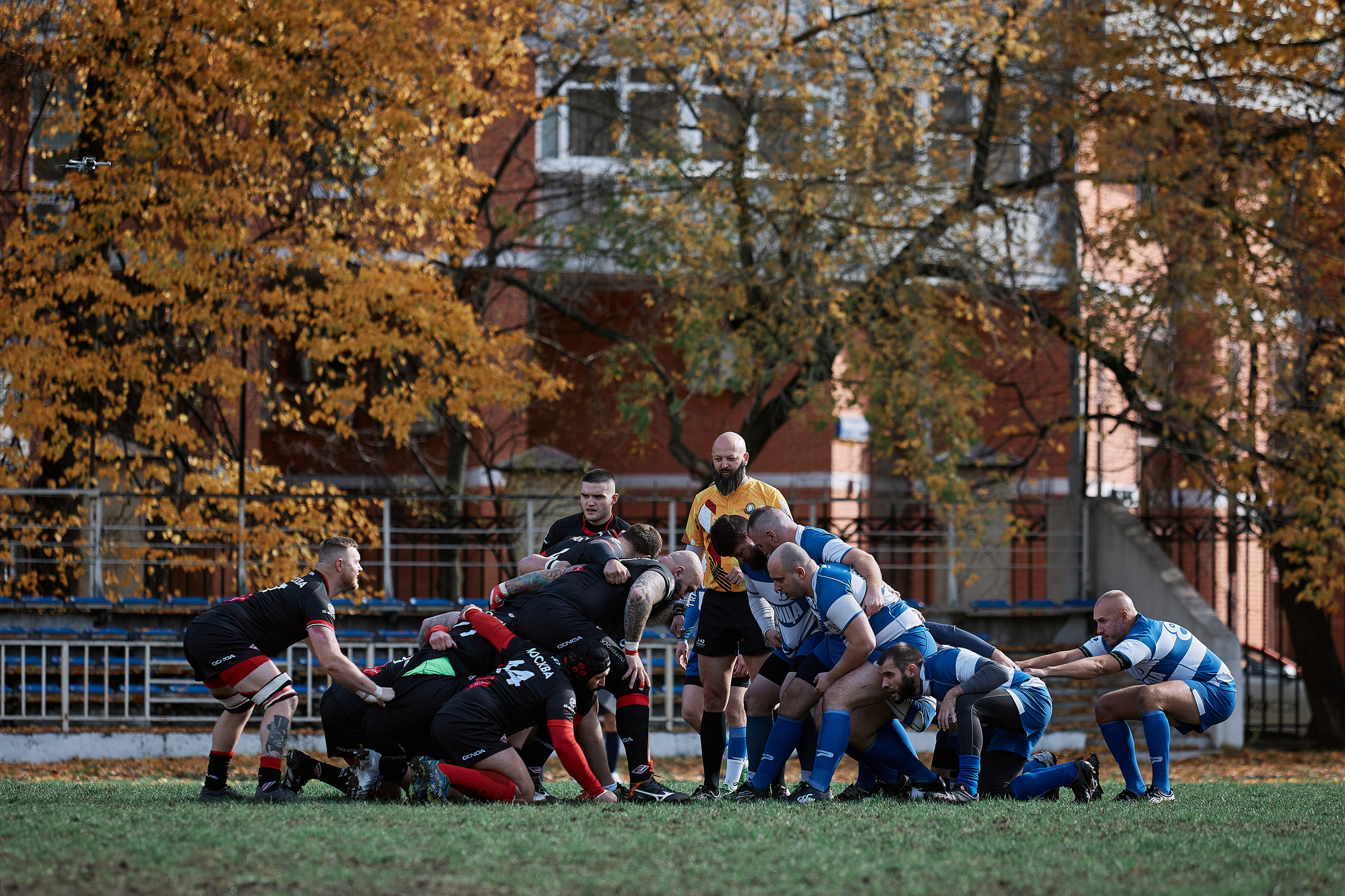 Регбисты на поле