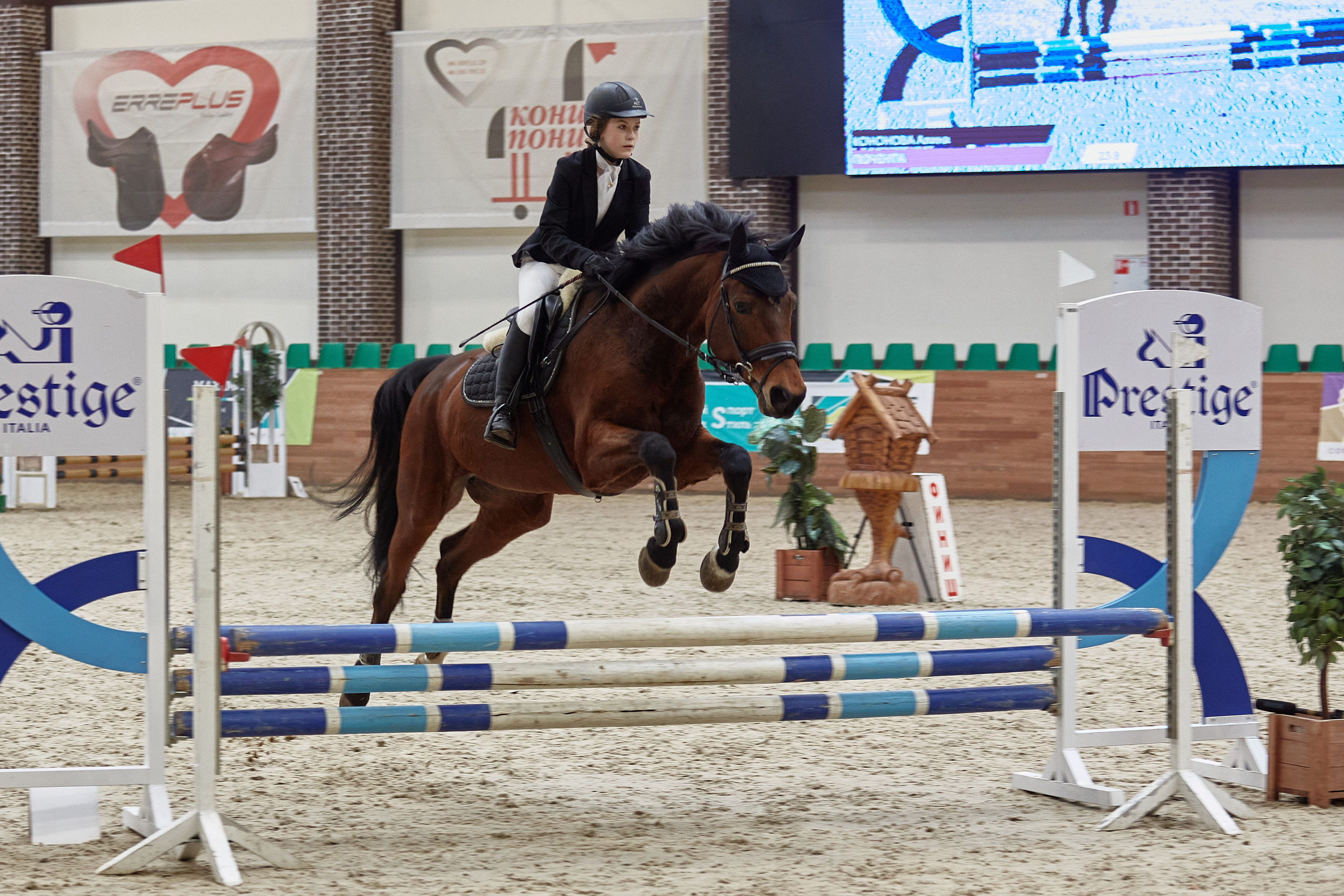 Соревнования по конкуру в конном клубе Maxima Park. Репортажный и семейный фотограф Ухова Наталья в Москве