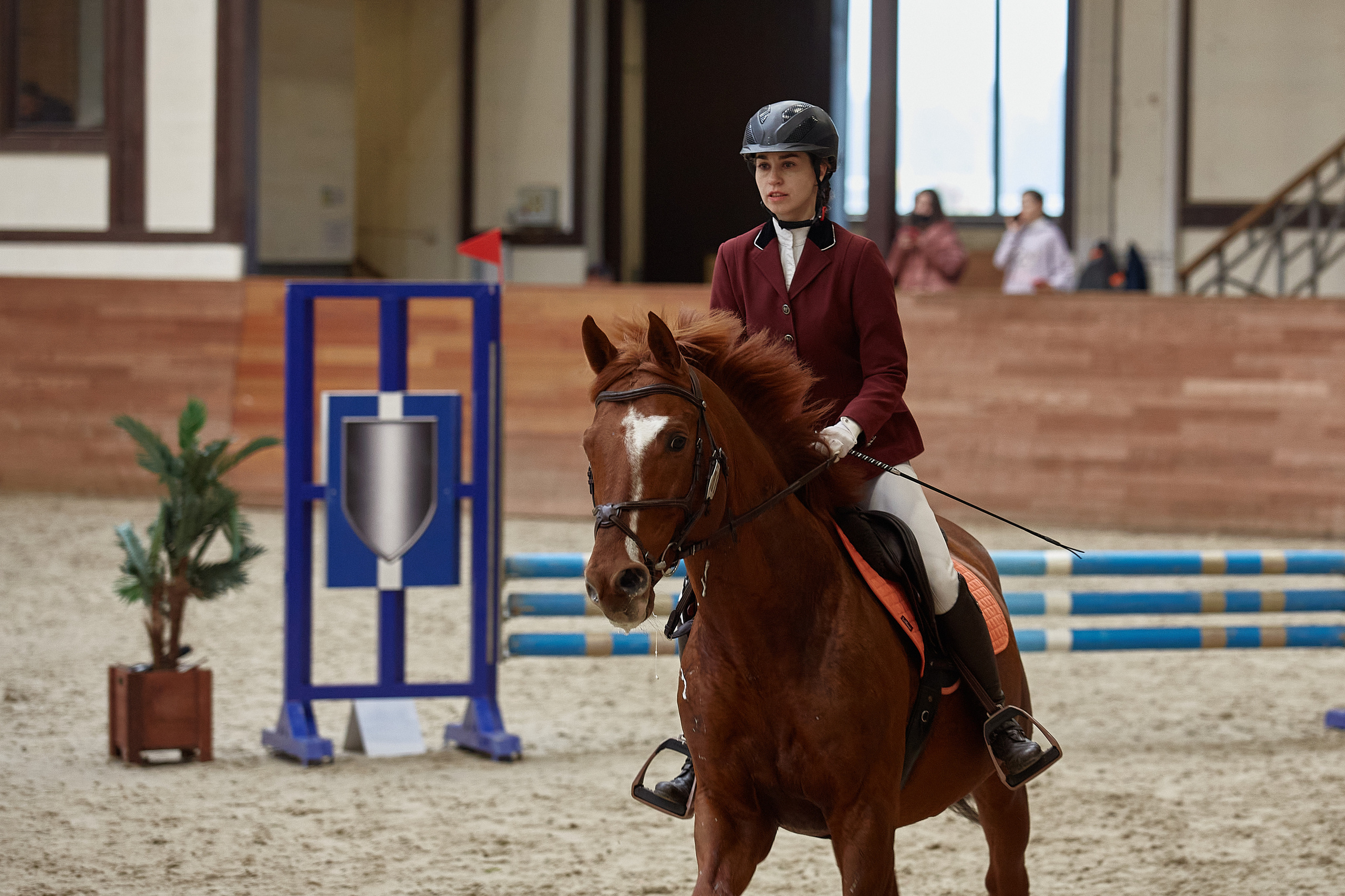 Соревнования по конкуру в конном клубе Maxima Park. Репортажный и семейный фотограф Ухова Наталья в Москве