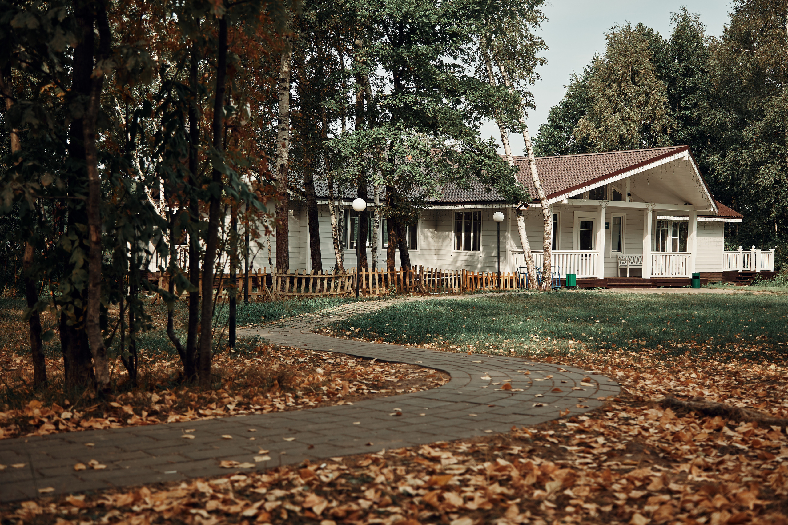 Корпоратив компании Online patent. Репортажный и семейный фотограф Ухова Наталья в Москве