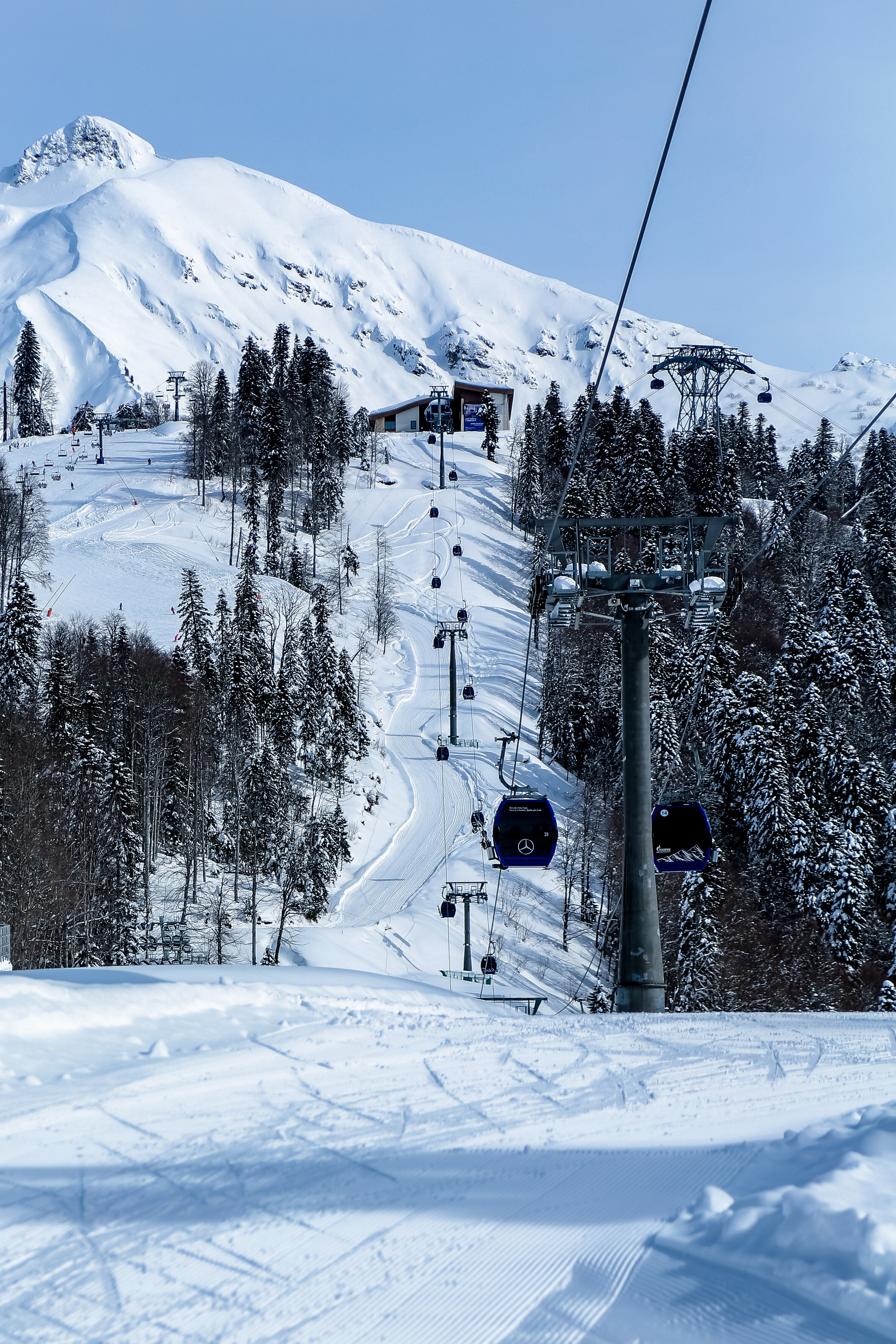 Мастер-класс по лыжам с Алексеем Барышниковым. Репортажный и семейный фотограф Ухова Наталья в Москве