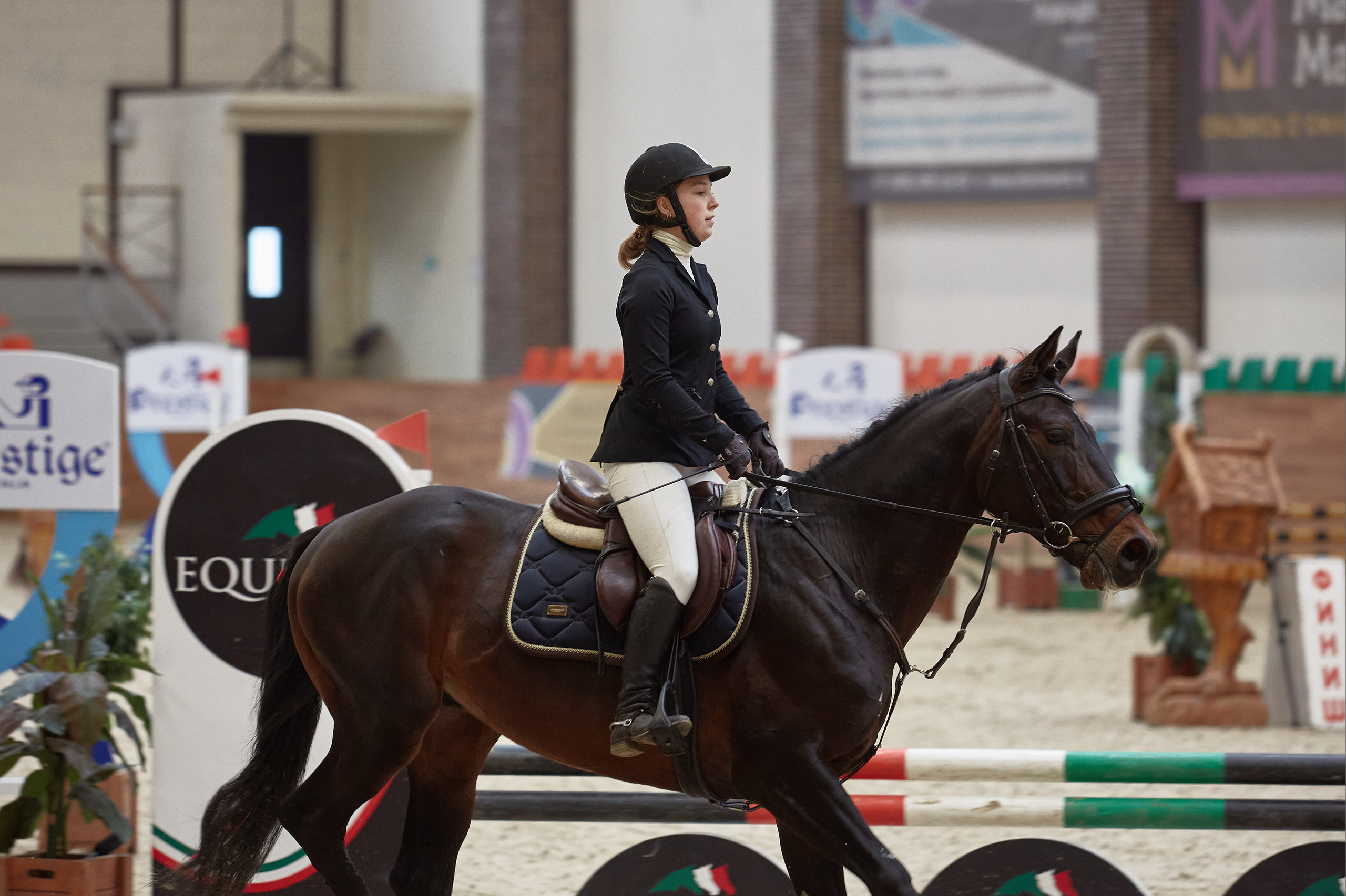 Соревнования по конкуру 