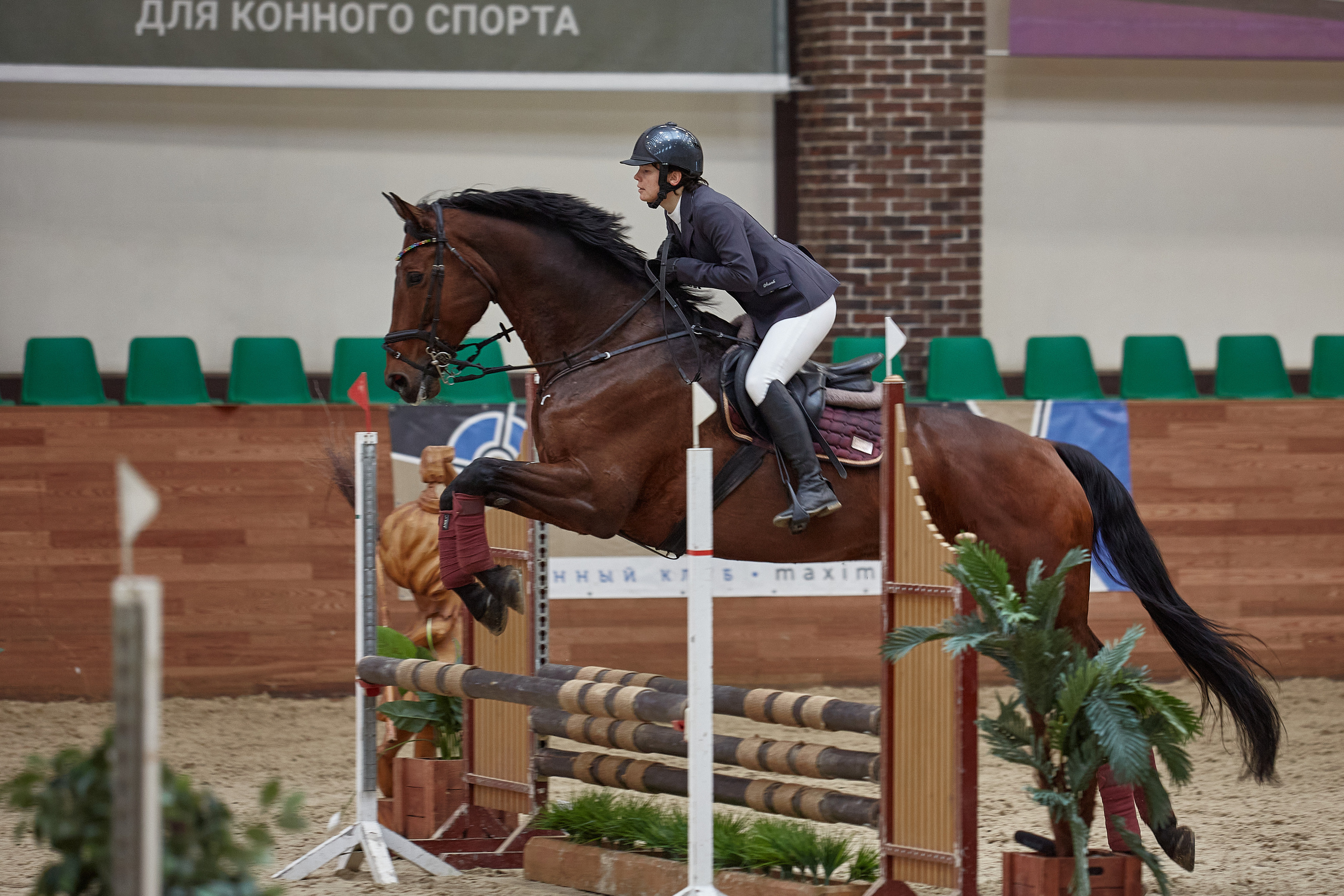 Соревнования по конкуру в конном клубе Maxima Park. Репортажный и семейный фотограф Ухова Наталья в Москве