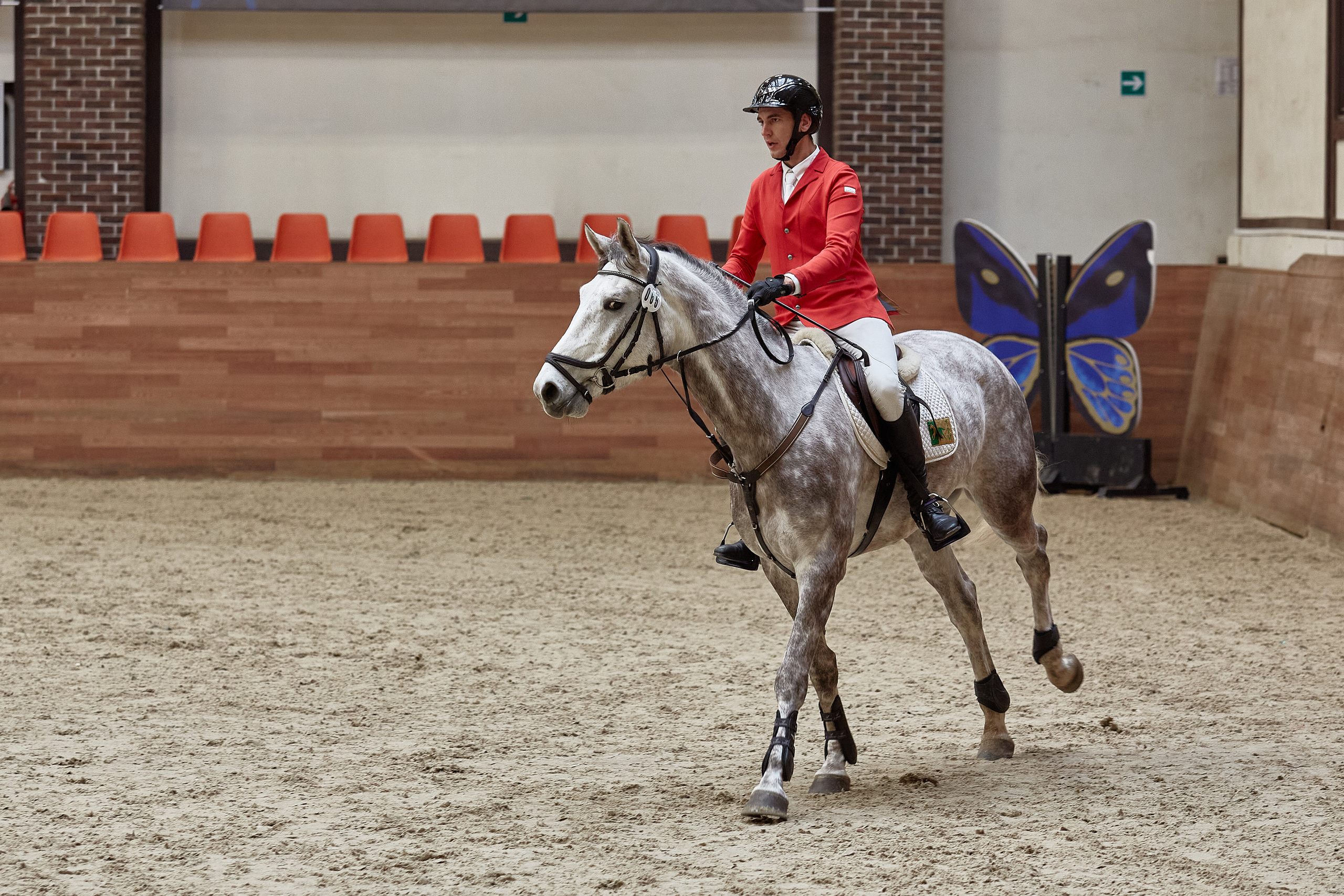 Соревнования по конкуру в конном клубе Maxima Park. Репортажный и семейный фотограф Ухова Наталья в Москве