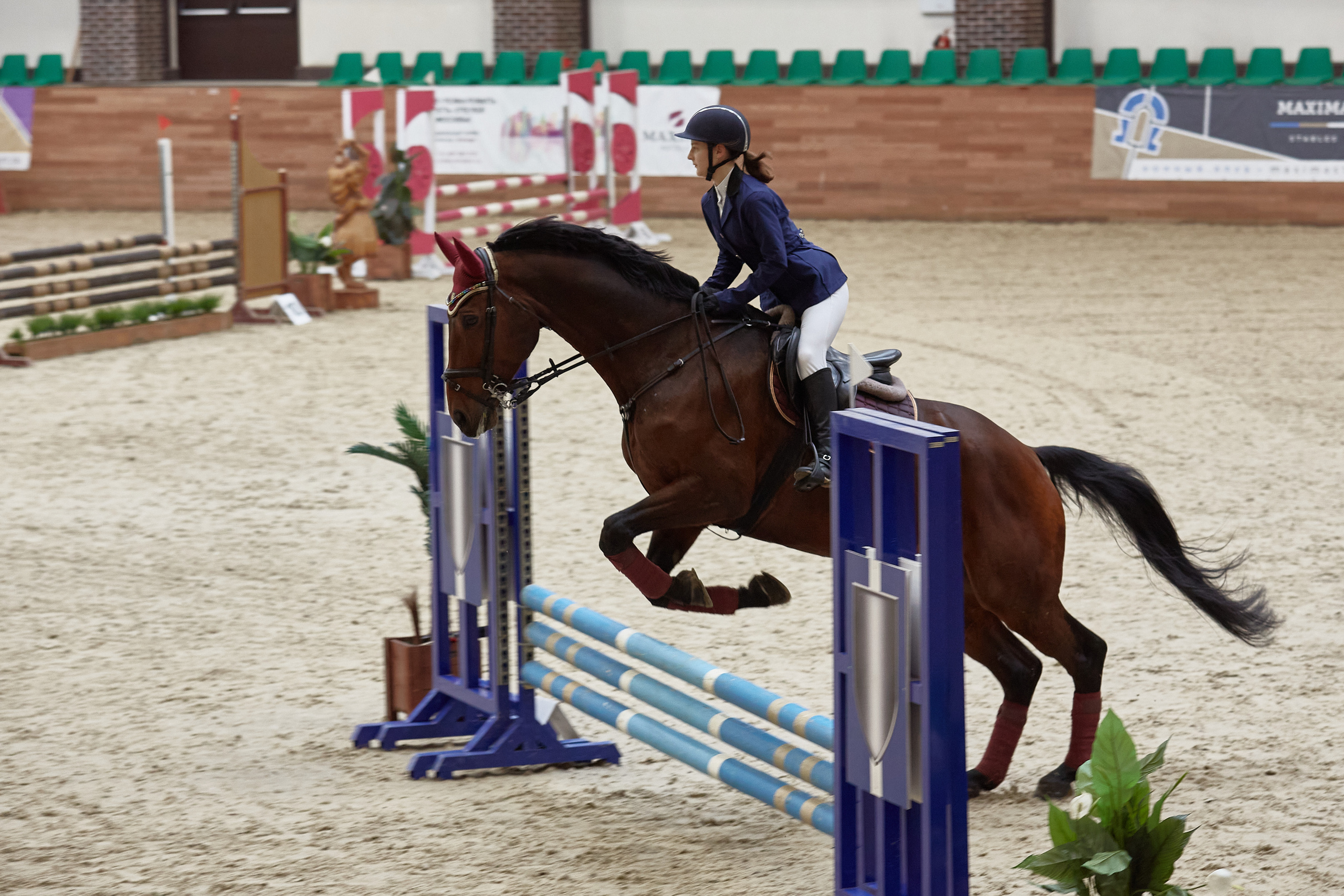 Конный спорт в Максима Парк