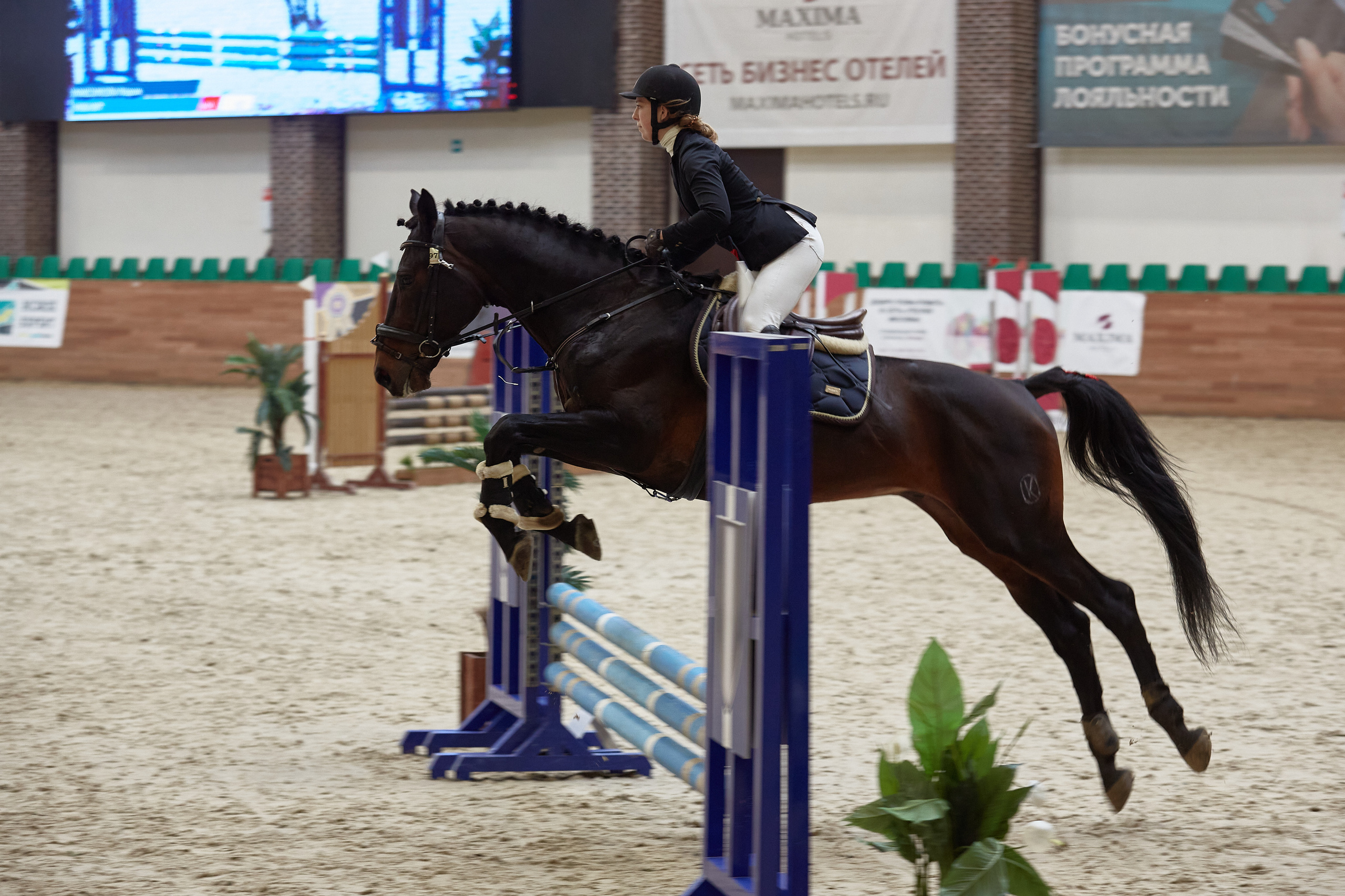 Соревнования по конкуру в конном клубе Maxima Park. Репортажный и семейный фотограф Ухова Наталья в Москве