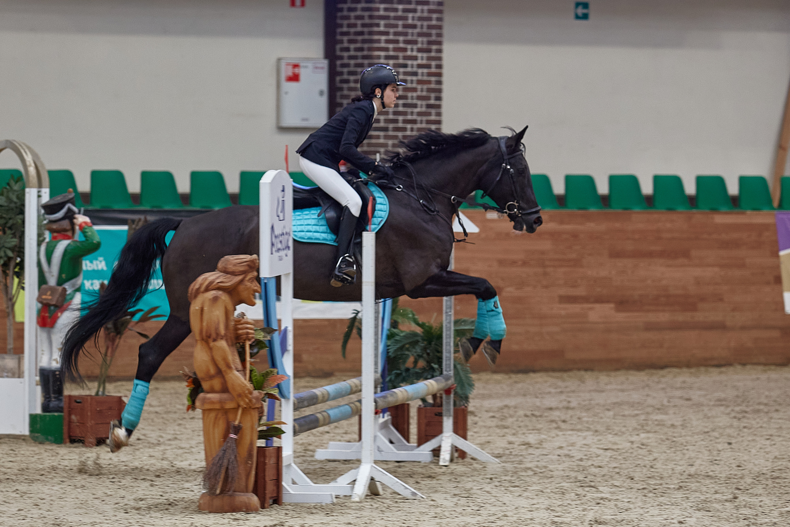 Лошадь перепрыгивает препятствие 