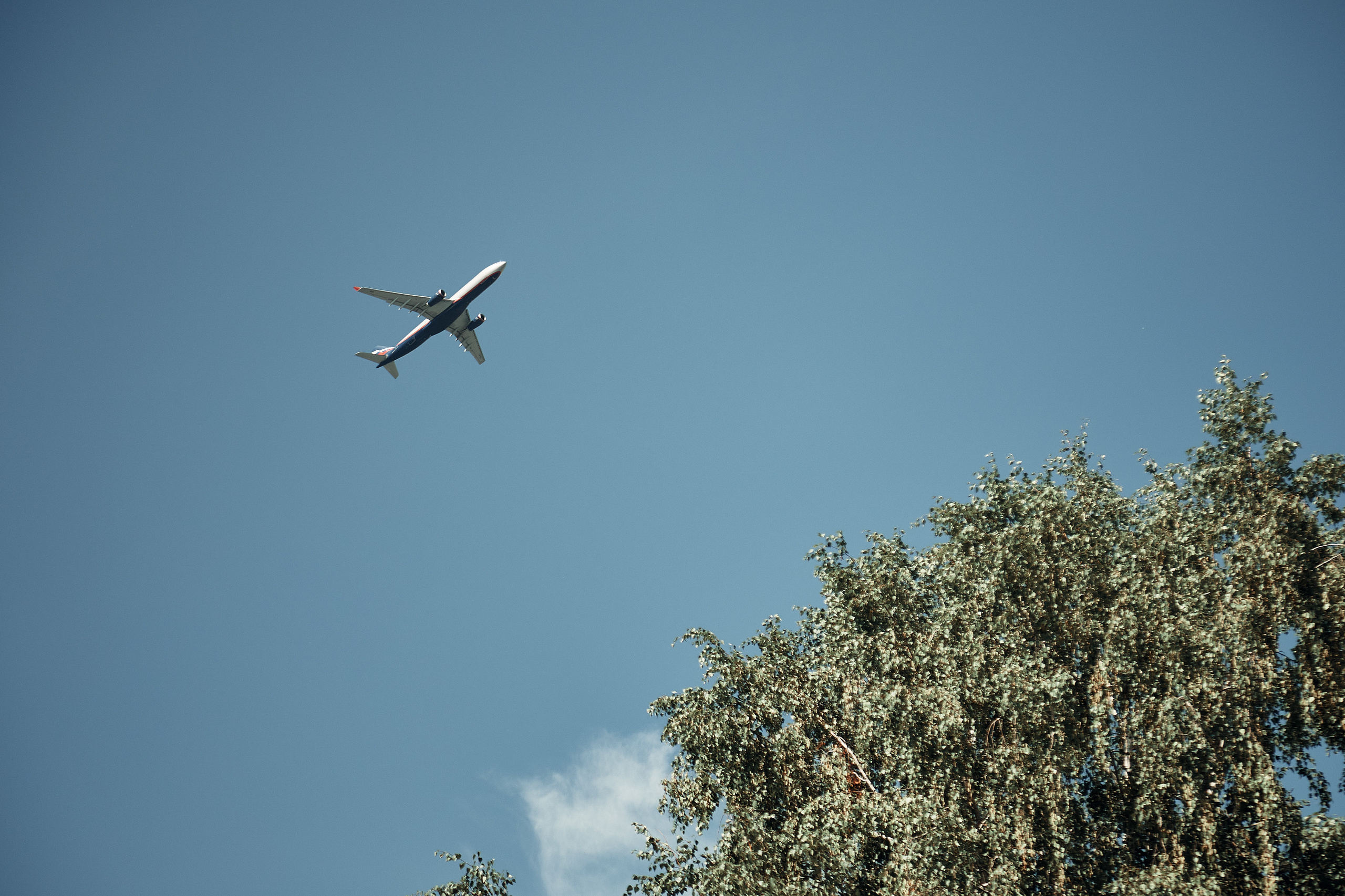 Корпоратив компании Белая радуга в яхт-клубе Пеликан. Репортажный и семейный фотограф Ухова Наталья в Москве