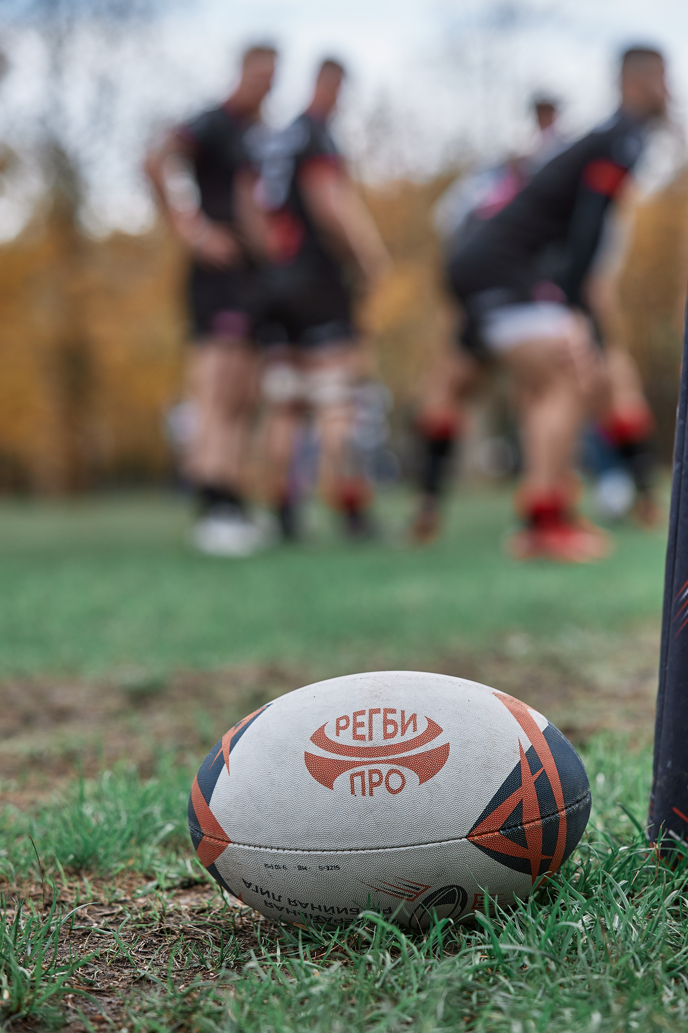 Регбийный мяч на поле