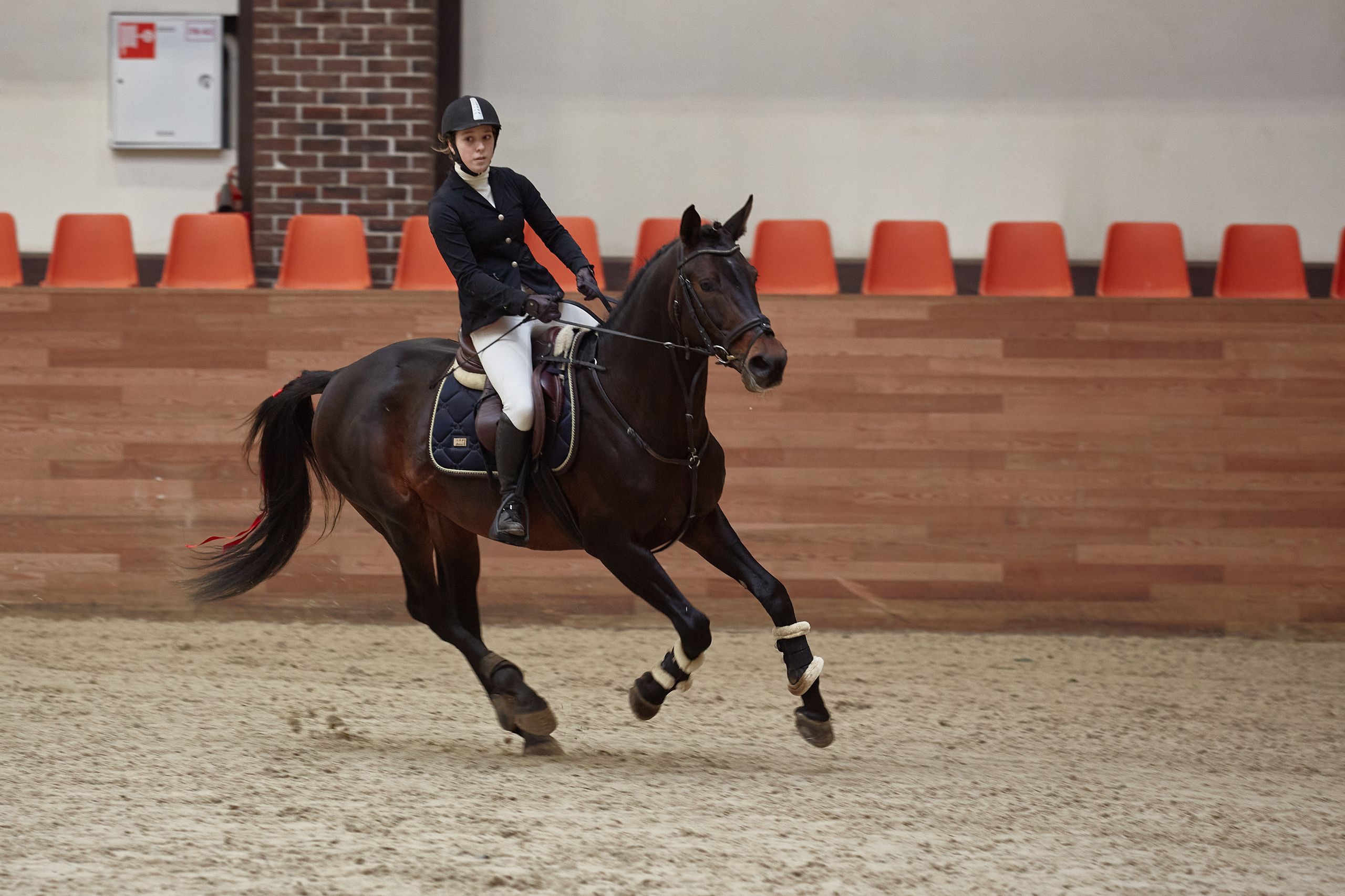 Соревнования по конкуру в конном клубе Maxima Park. Репортажный и семейный фотограф Ухова Наталья в Москве
