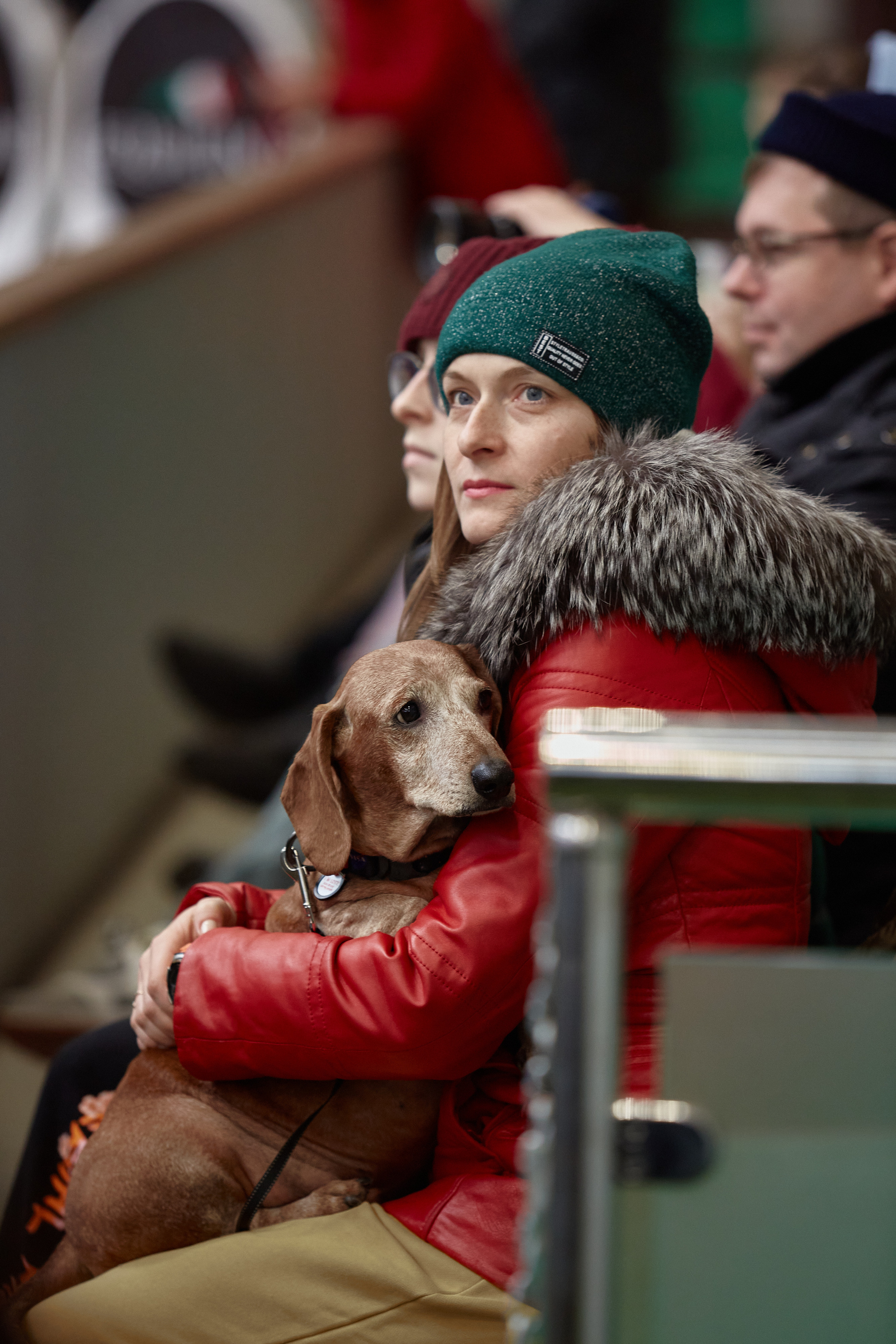 Соревнования по конкуру в конном клубе Maxima Park. Репортажный и семейный фотограф Ухова Наталья в Москве