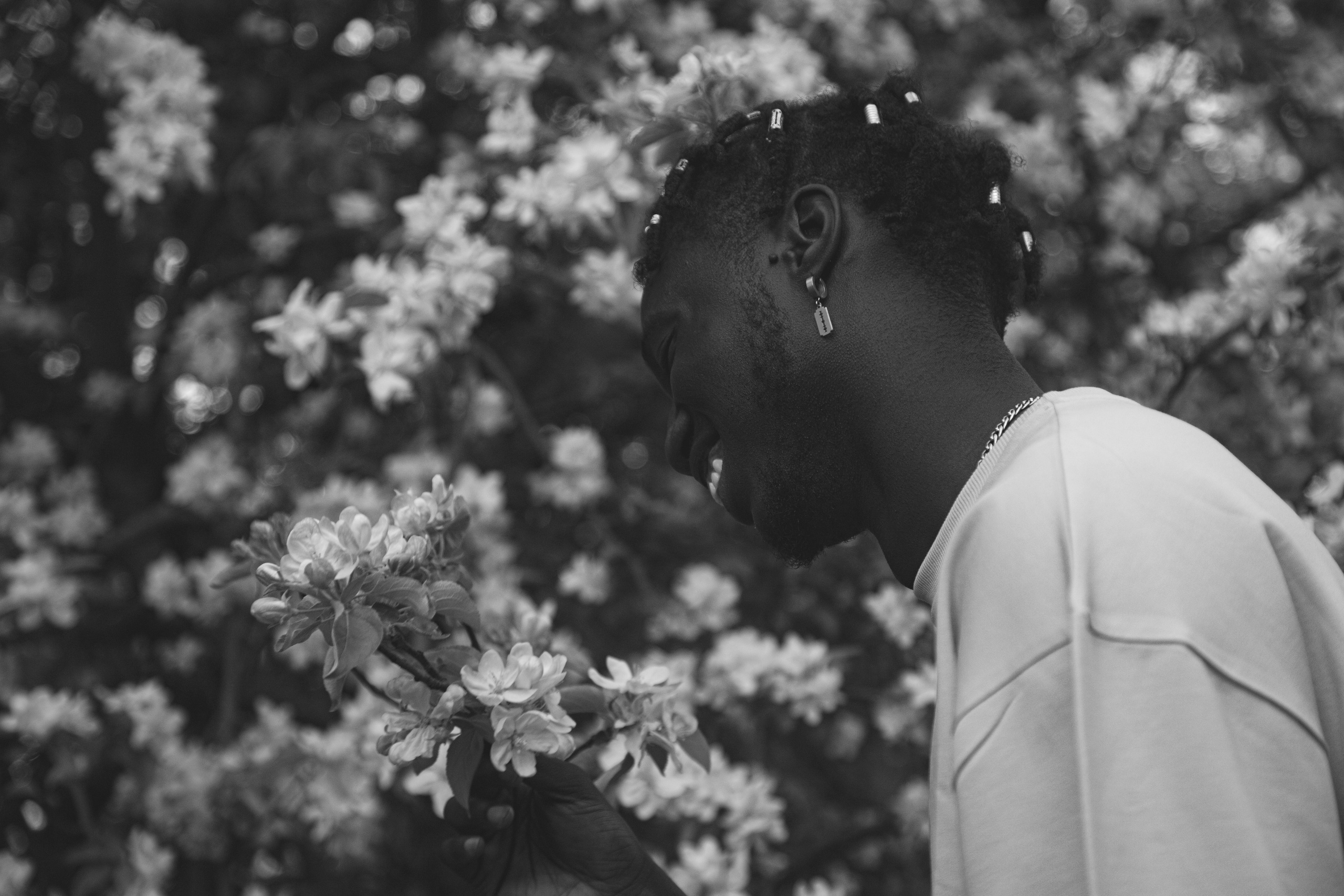 F a b i o. — Digital Noise —