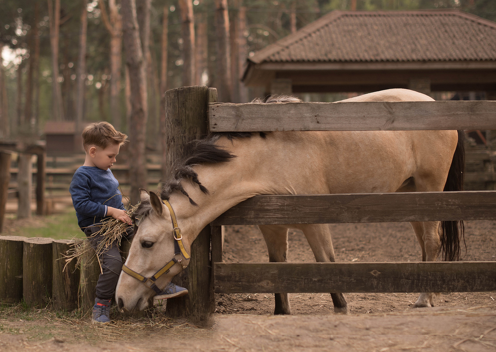 Дети. Женский и семейный фотограф в Москве. Мария Апарина