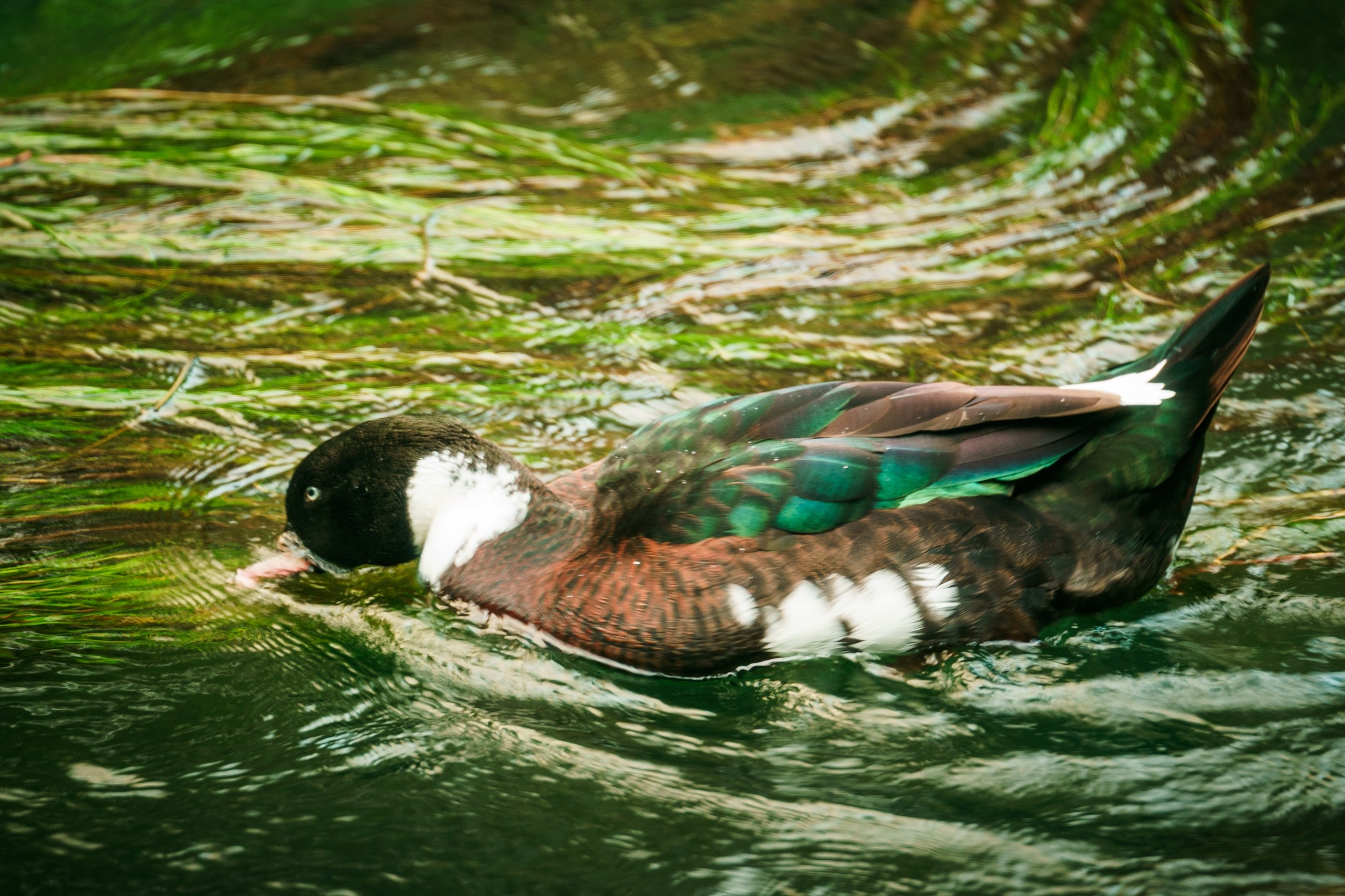 фототуры 2026