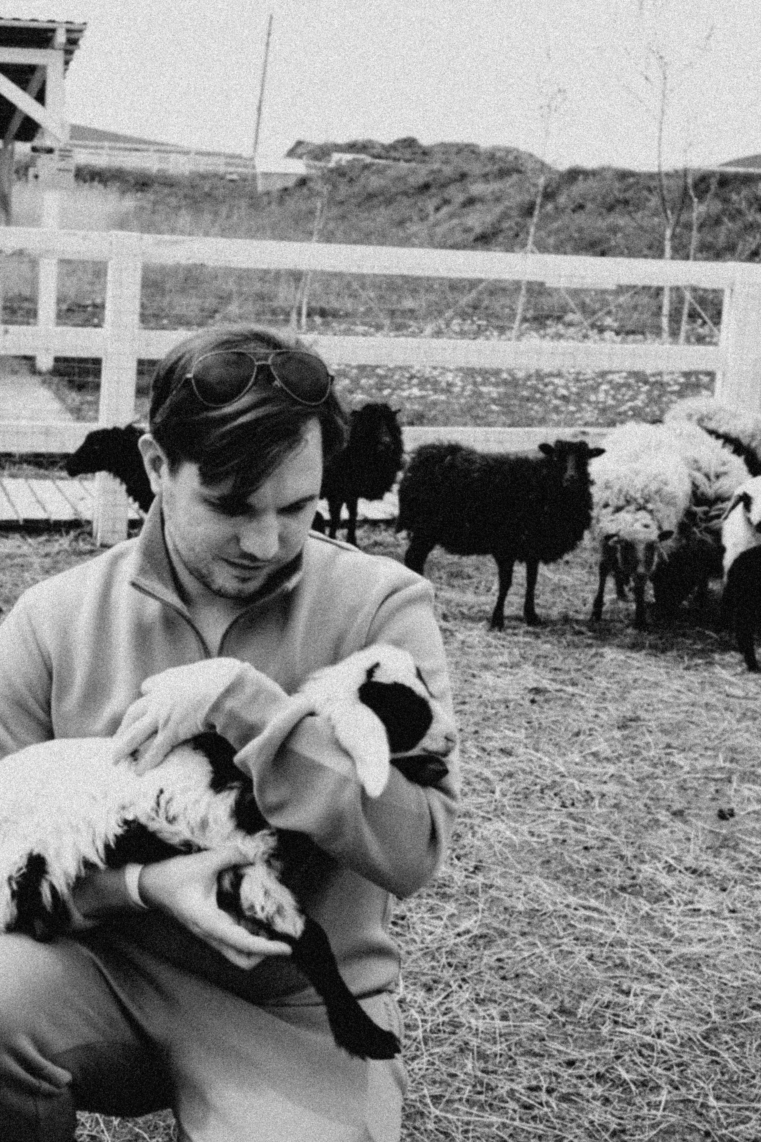 Ферма Альпак. Профессиональный фотограф, Санкт-Петербург — Виктория Богомолова