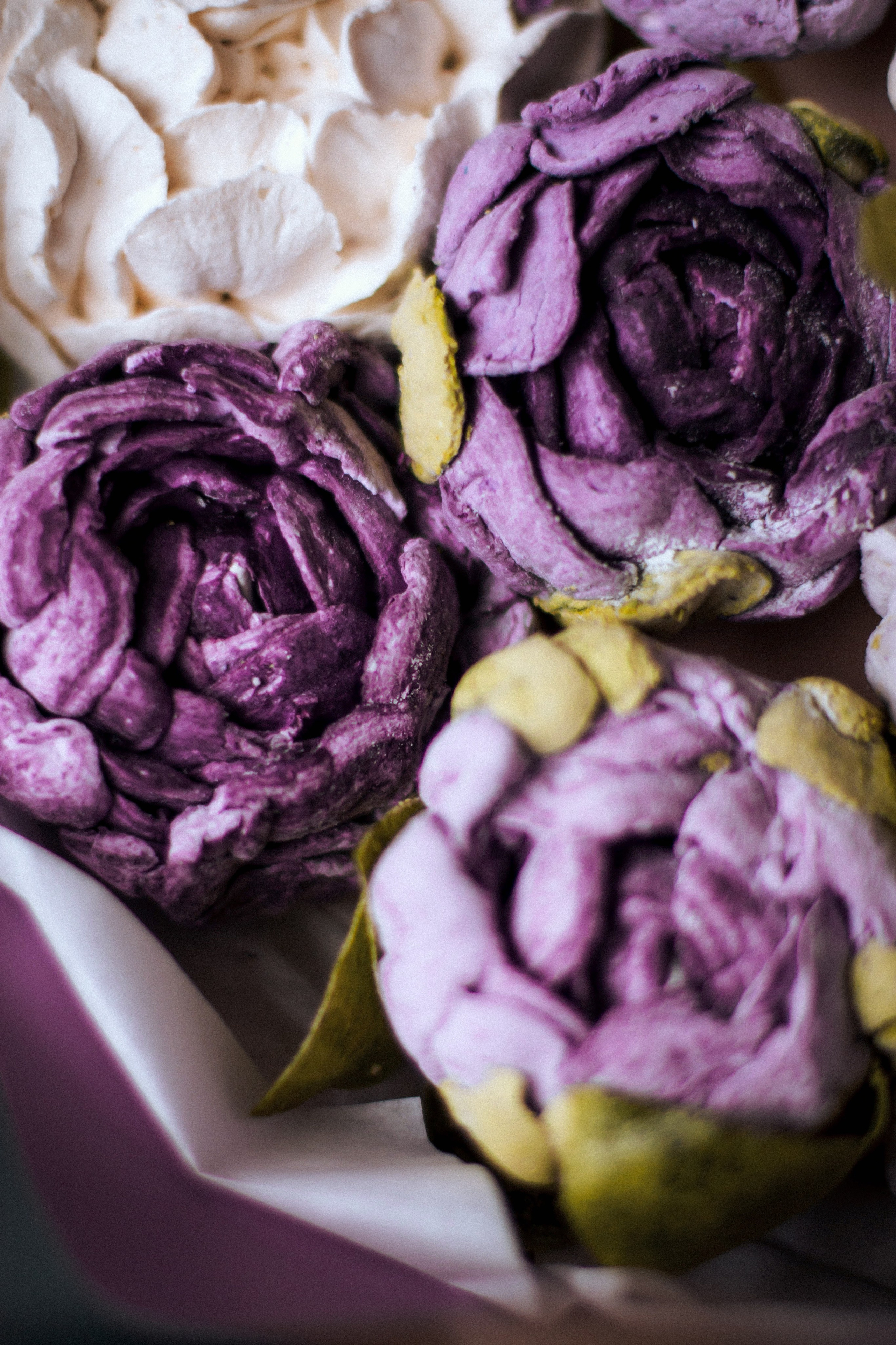 / P r o d u c t /. Nadi Sapunova photographer & visual storyteller