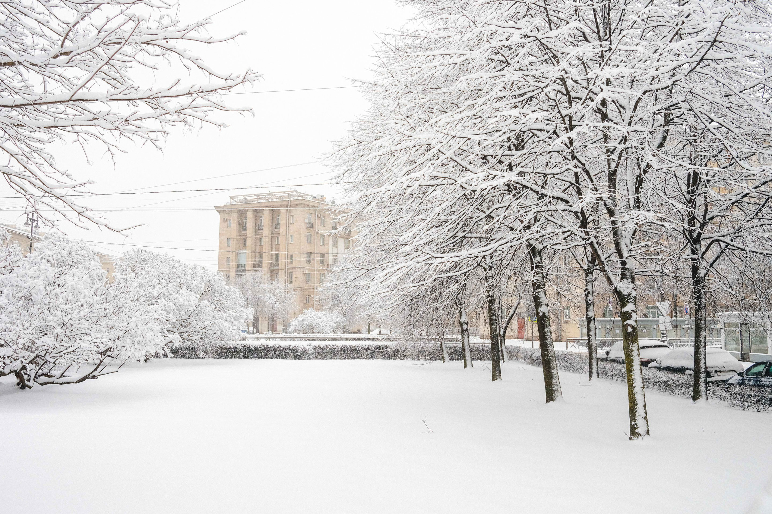 2023.03. Фотограф Алексей Алексеев