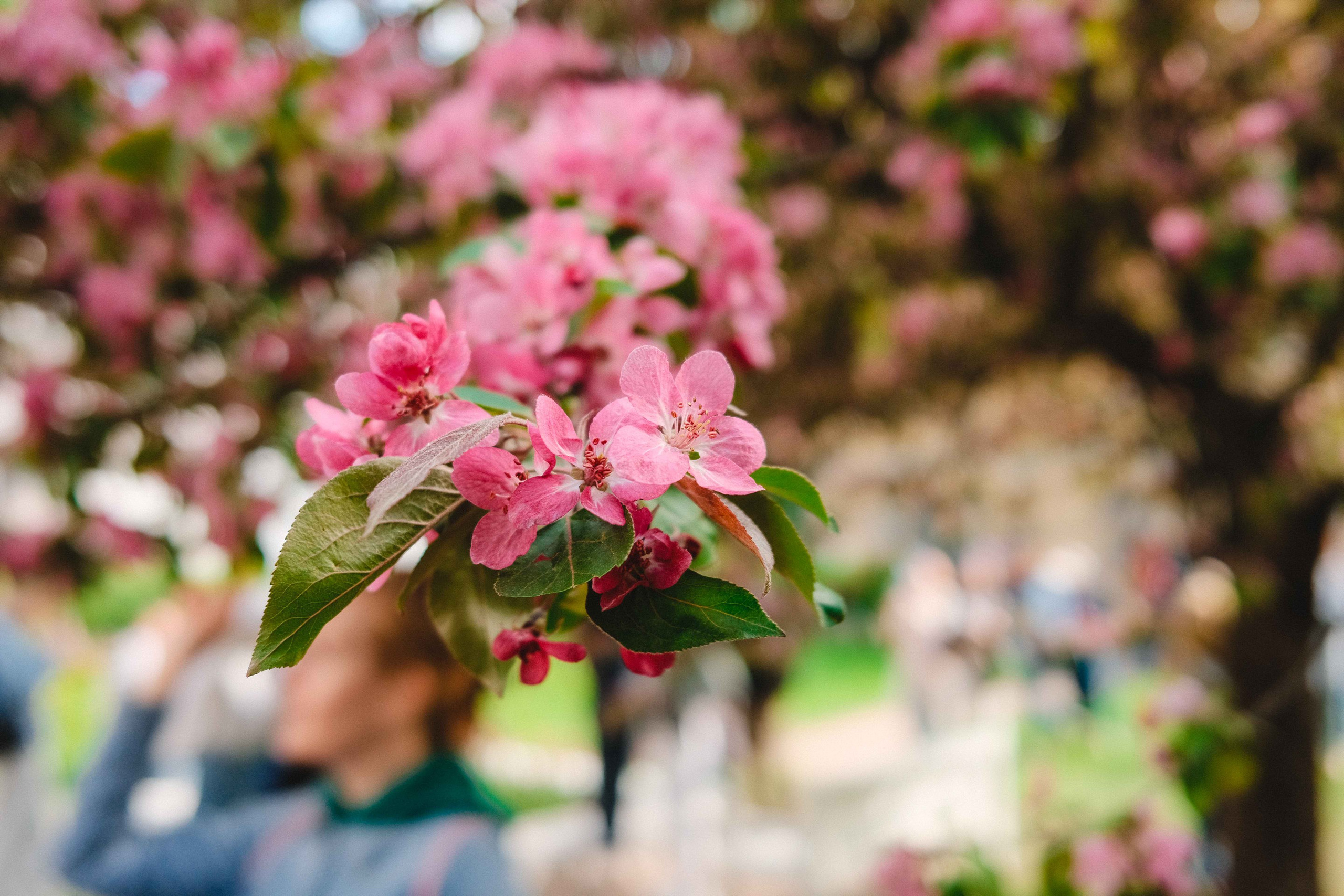 2023.05. Фотограф Алексей Алексеев