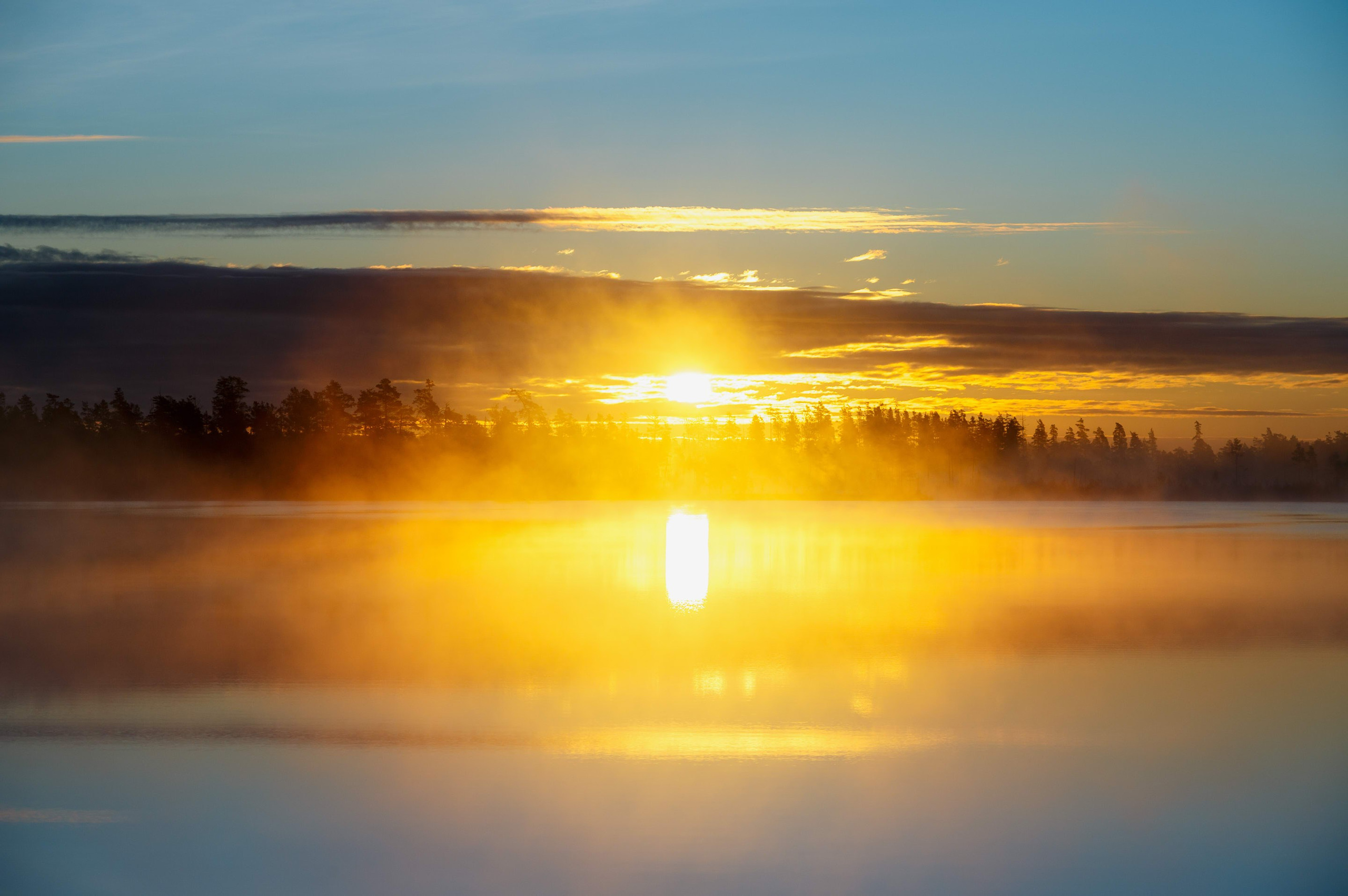 Кубок СПб по трофи-рейдам 04-06.10.2024 — базлаг, АП и ТИ. Фотограф Алексей Алексеев