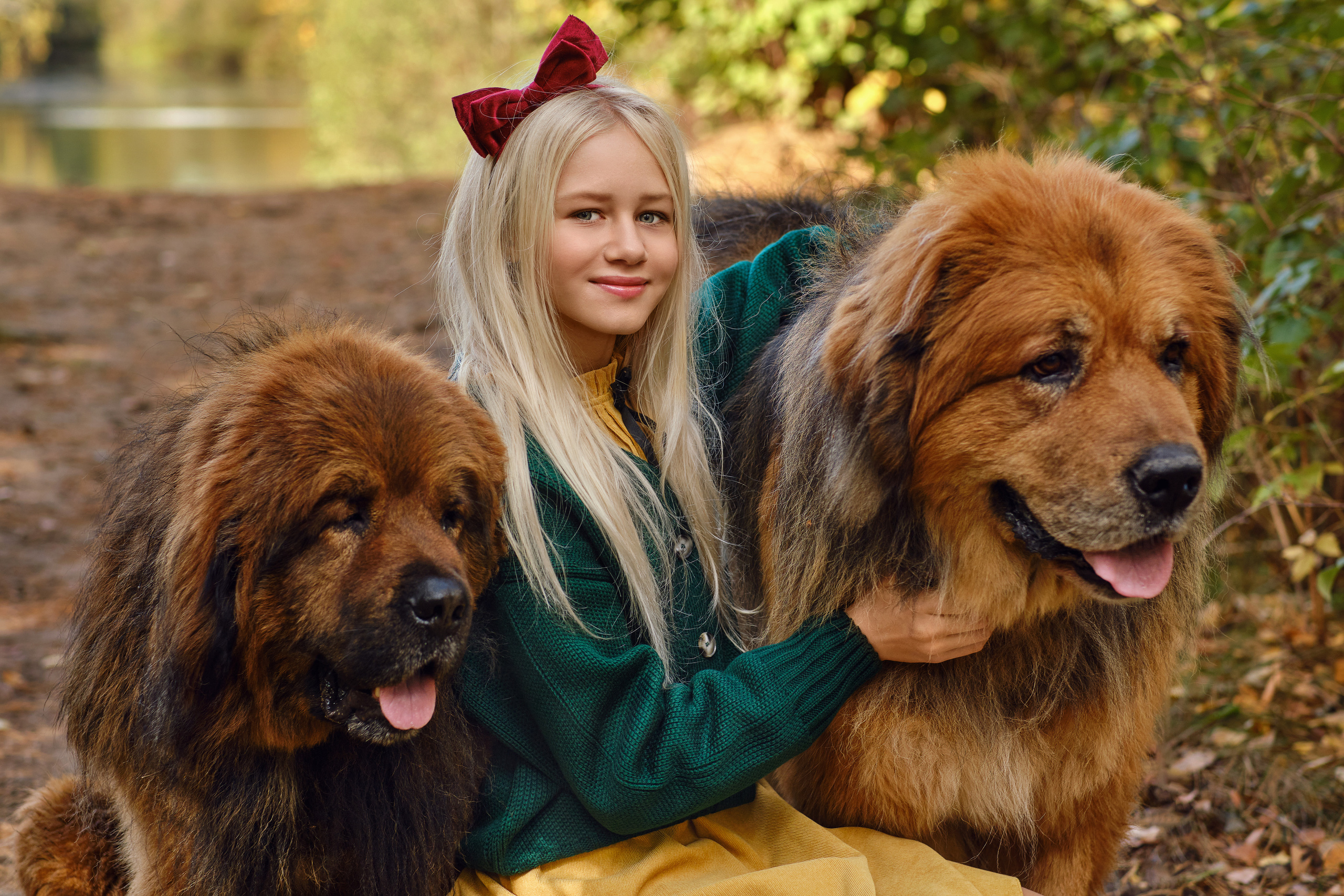 Катя, Ваня и мастифы