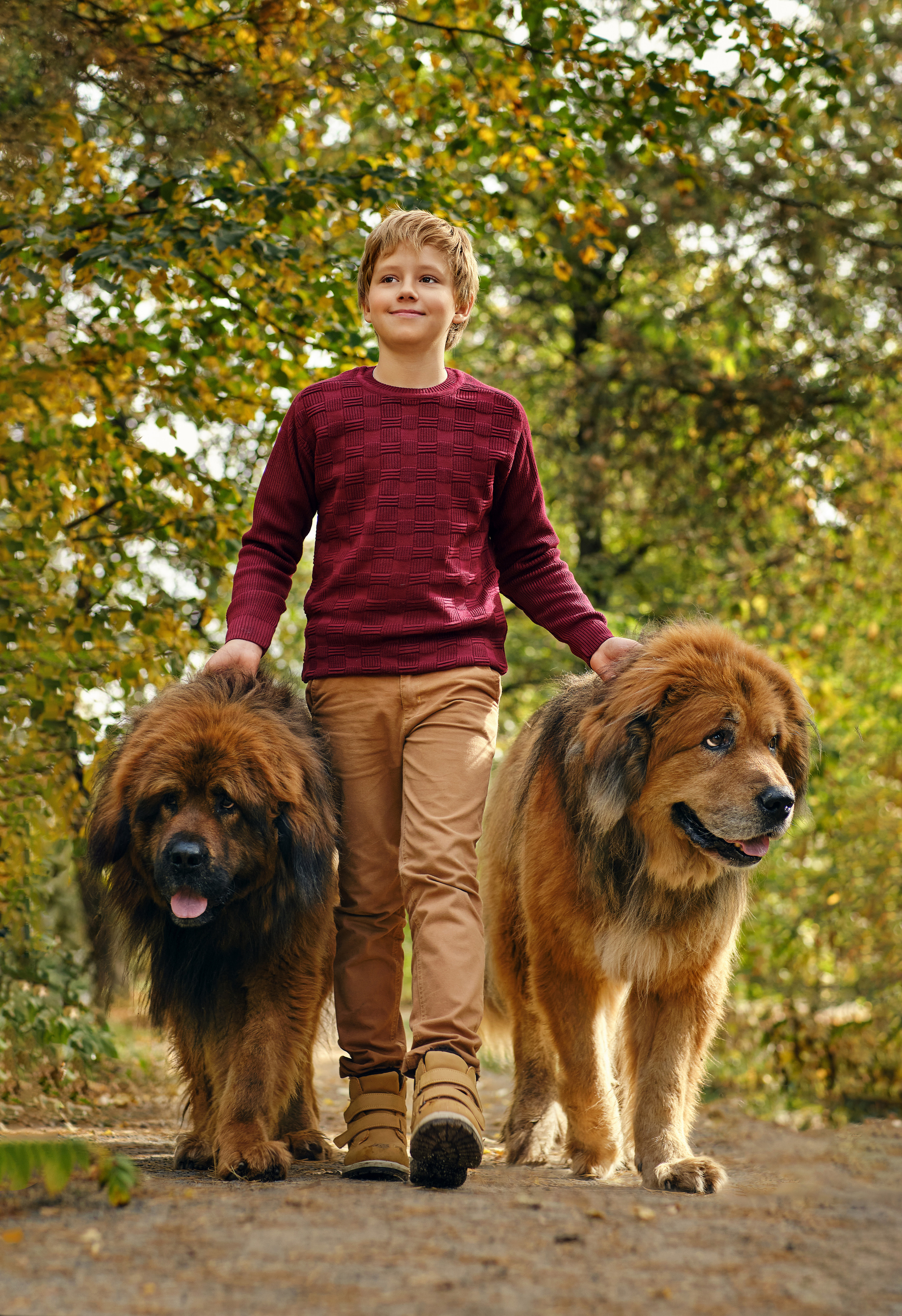 Катя, Ваня и мастифы