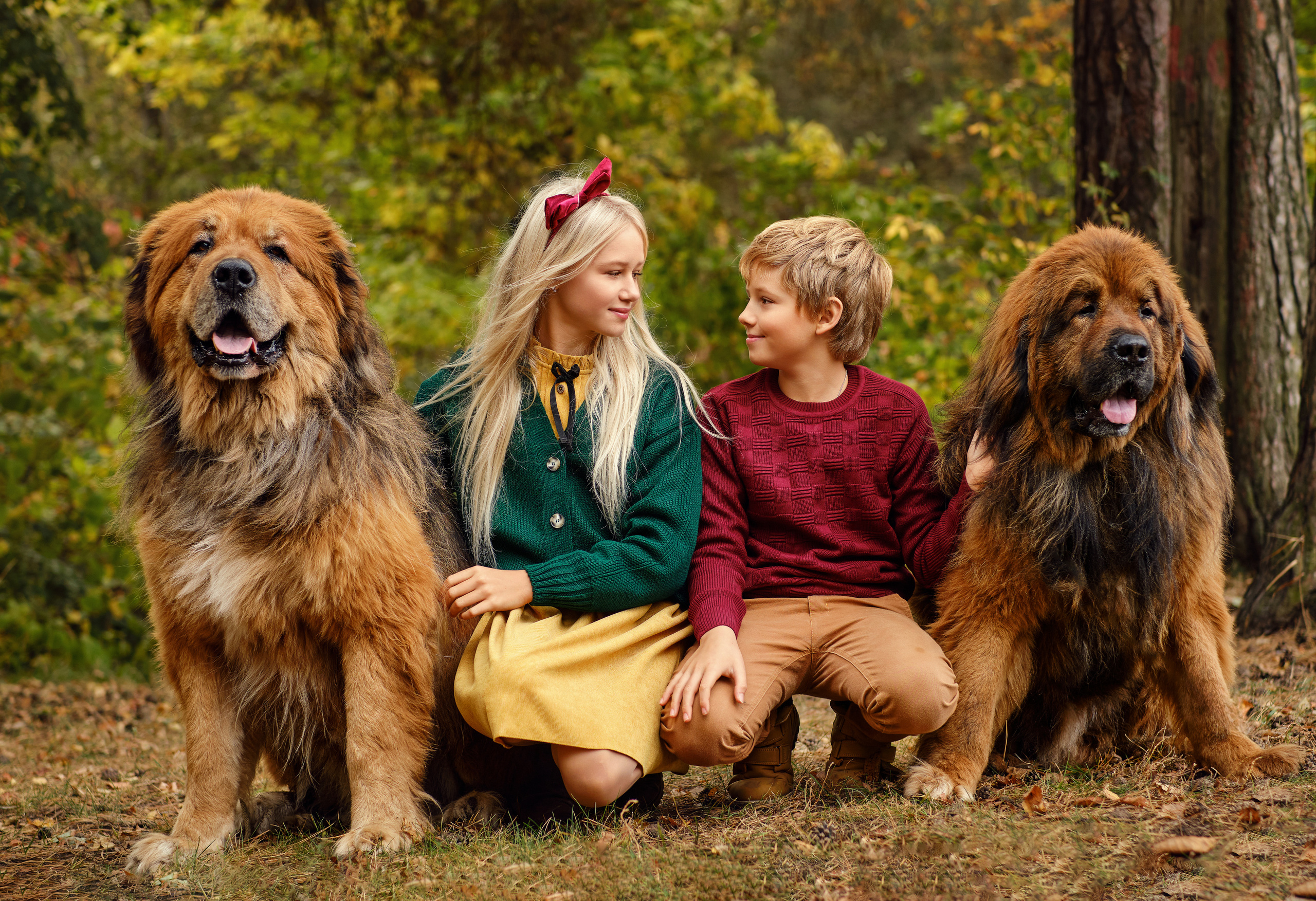 Катя, Ваня и мастифы