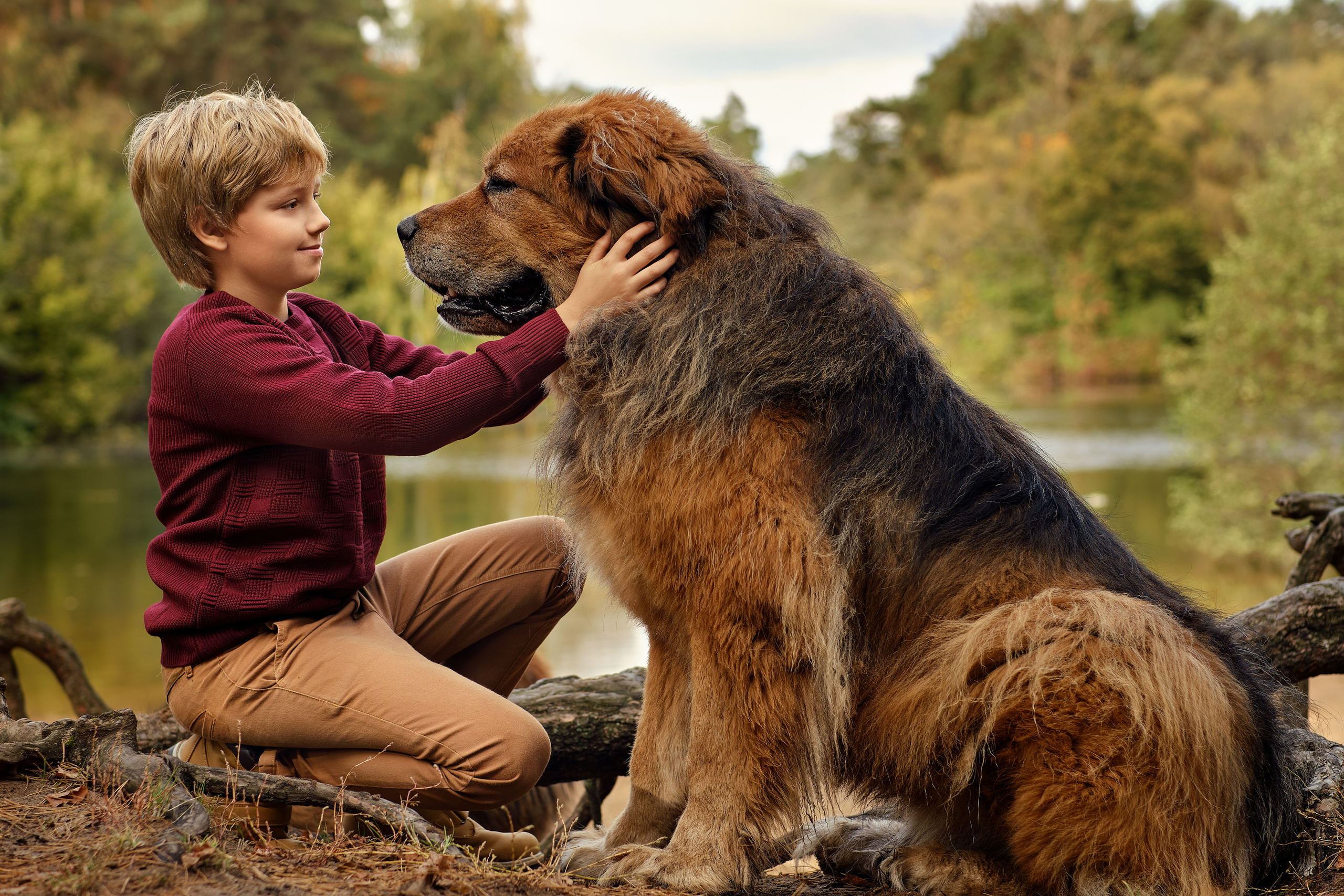 Катя, Ваня и мастифы