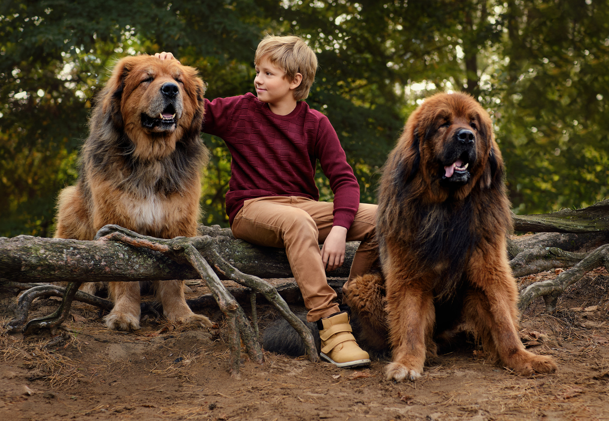 Катя, Ваня и мастифы