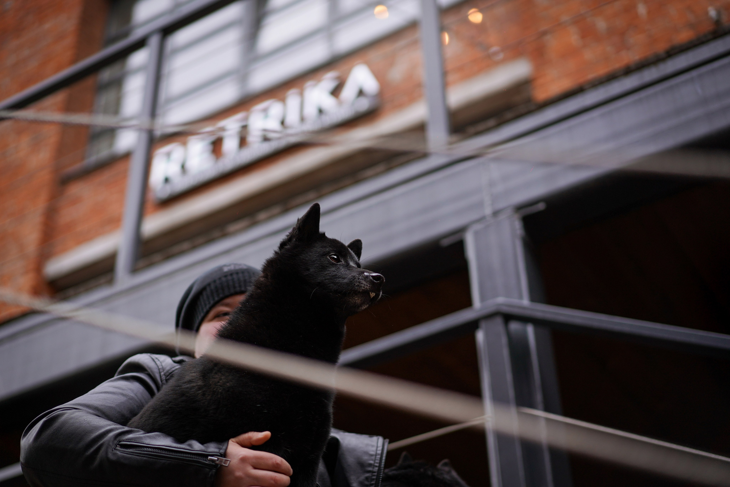 Аня Арчи и Мишель. Фотограф-анималист в Санкт-Петербурге Яна Мартынова