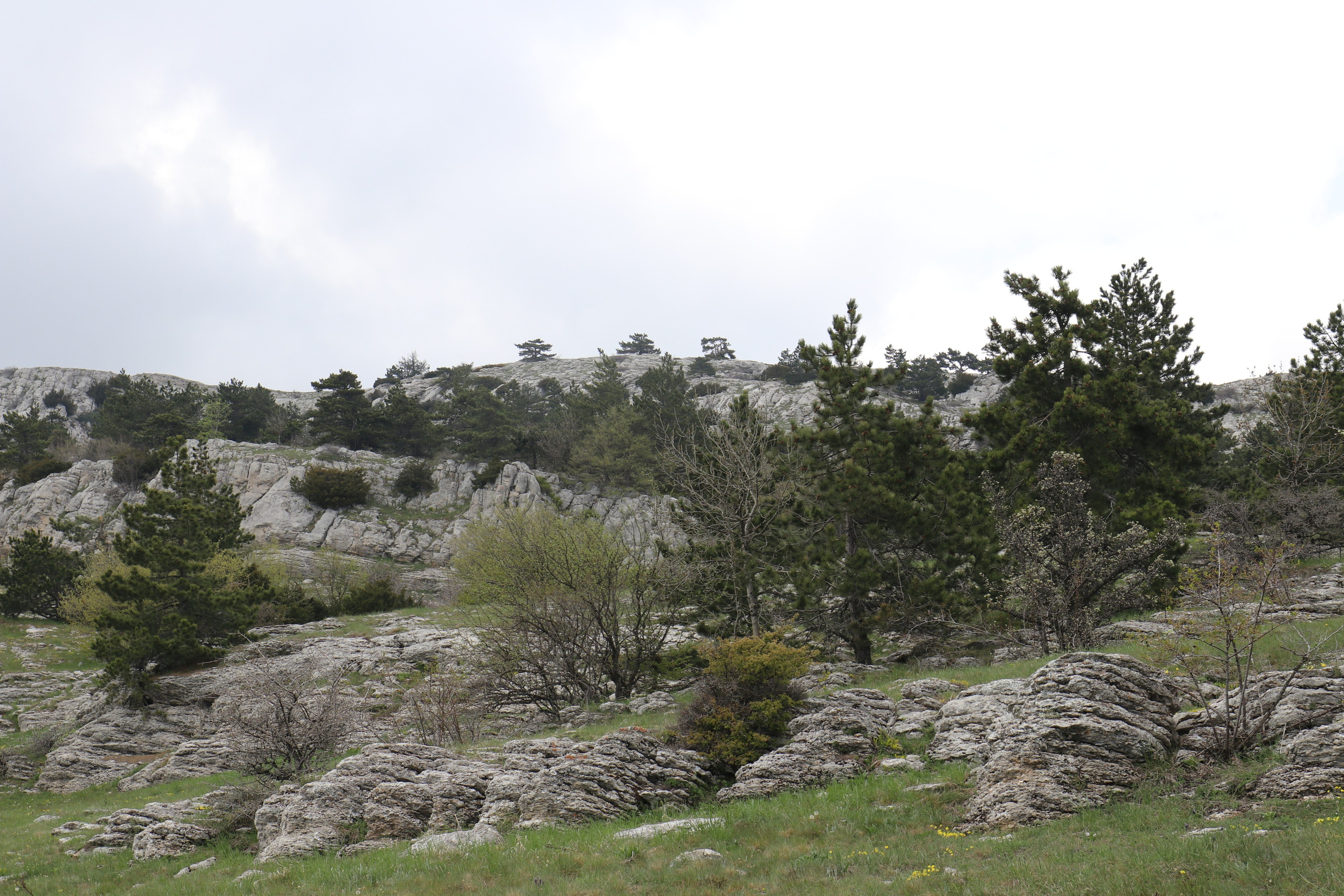 Крым. ЮБК (Бахчисарай, Демерджи, Судак). Первый скалолазный выезд. Май 2019. Путешественник-фотограф из Санкт-Петербурга Татьяна Свистулина