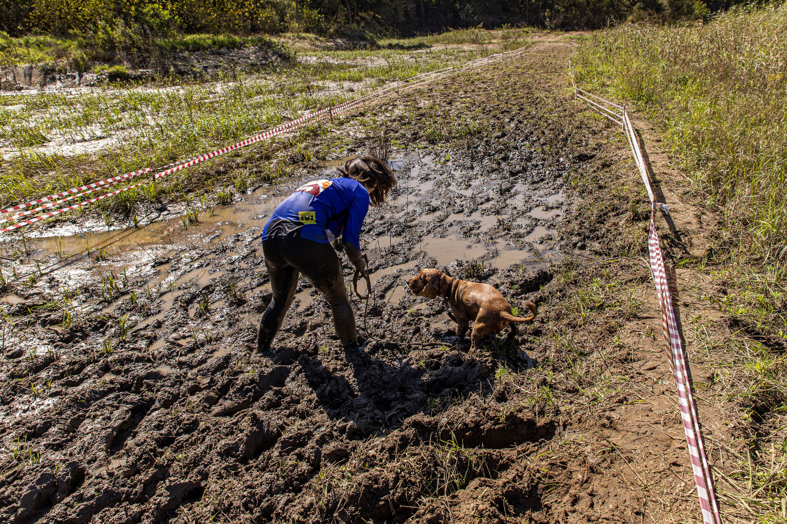 Dogtrail 2023. Уссурийск