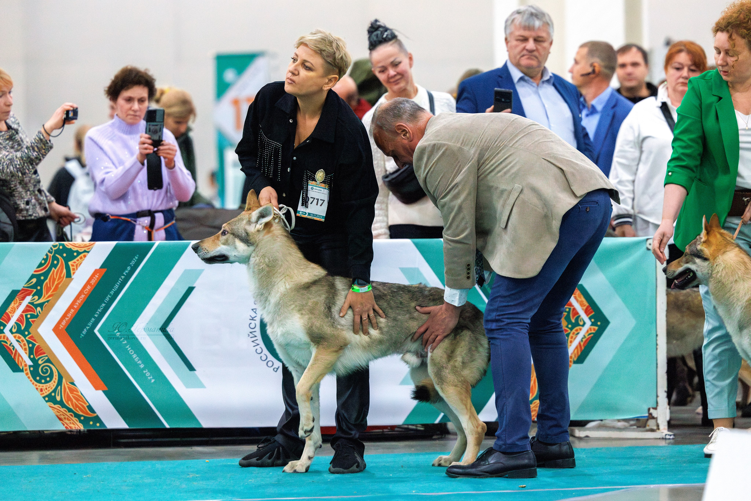 Евразия 16-17.11.2024. Фотограф-анималист Юлия Германика