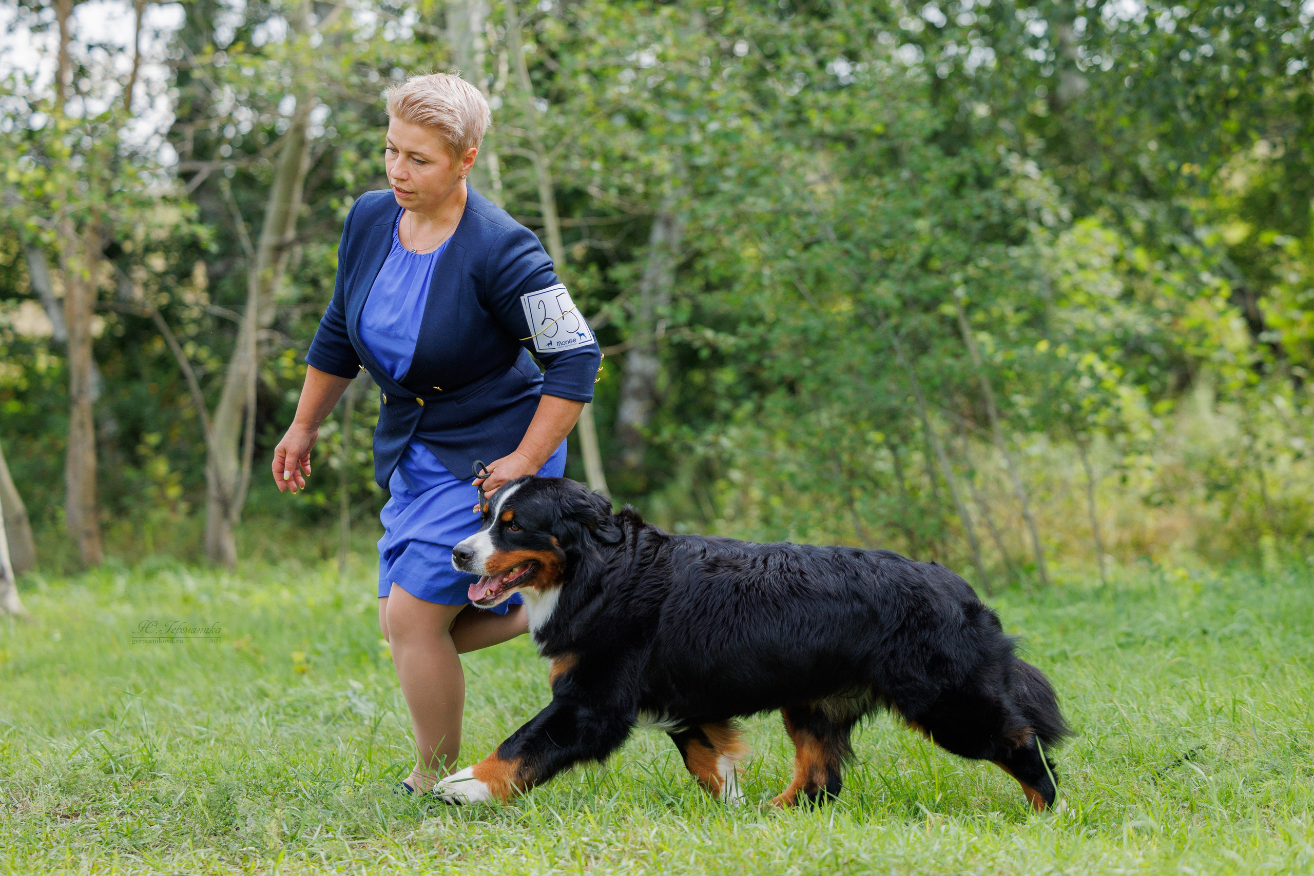 Астана 2хCACIB 17-18.08.2024. Фотограф-анималист Юлия Германика