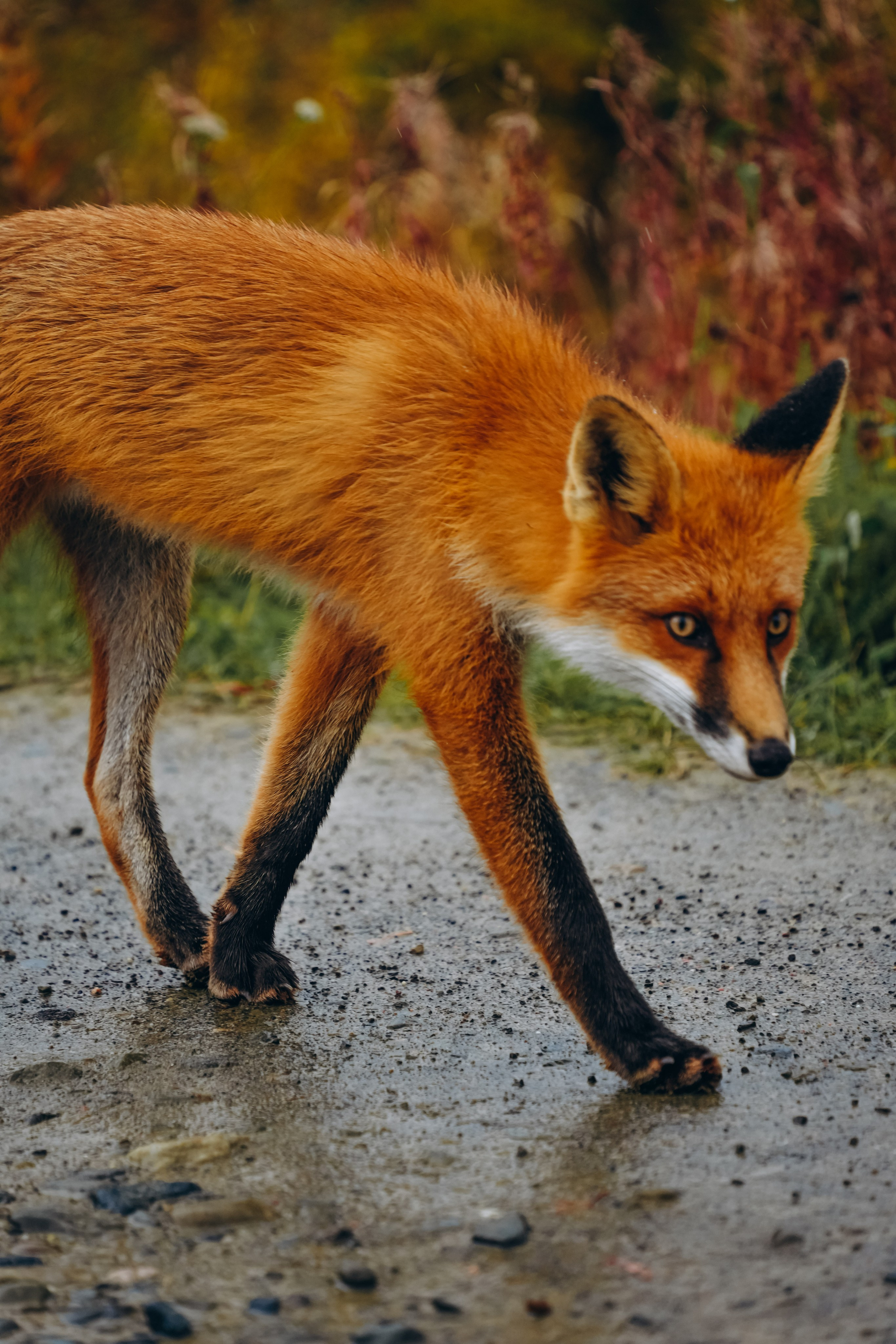 СЕВЕР. Event фотограф Степанова Александра