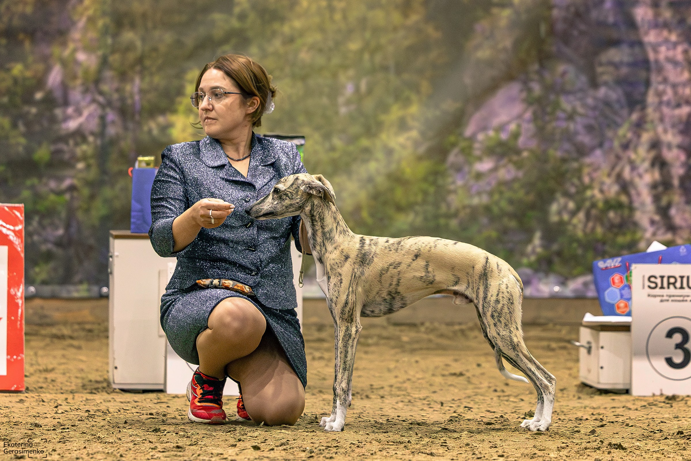 30 августа 2025, Выставка РКФ, г. Челябинск. Htykk_photo